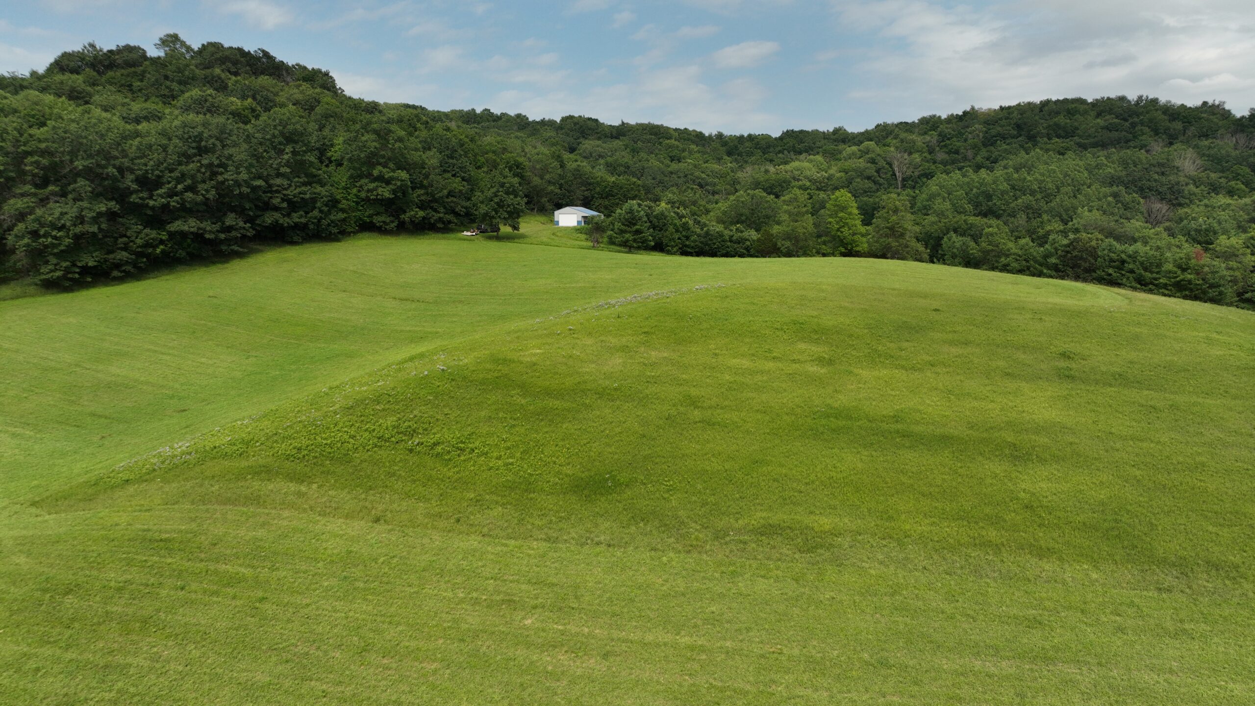 Recreational Land for Sale in Hillsboro, WI – 50.90 Acres of Scenic Wilderness in Vernon County