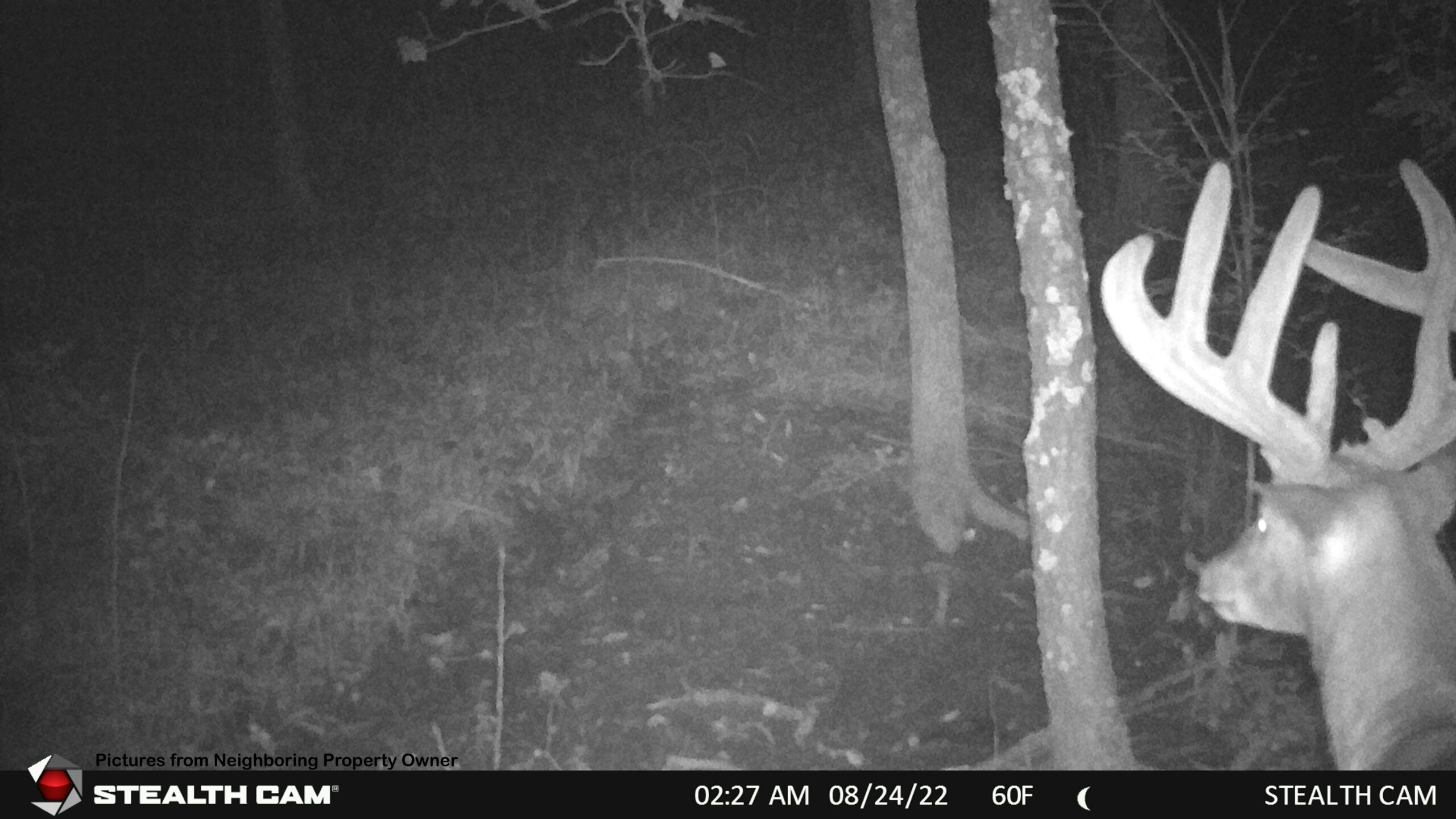 Hunting and Fishing Property for sale in Richland County, Wisconsin
