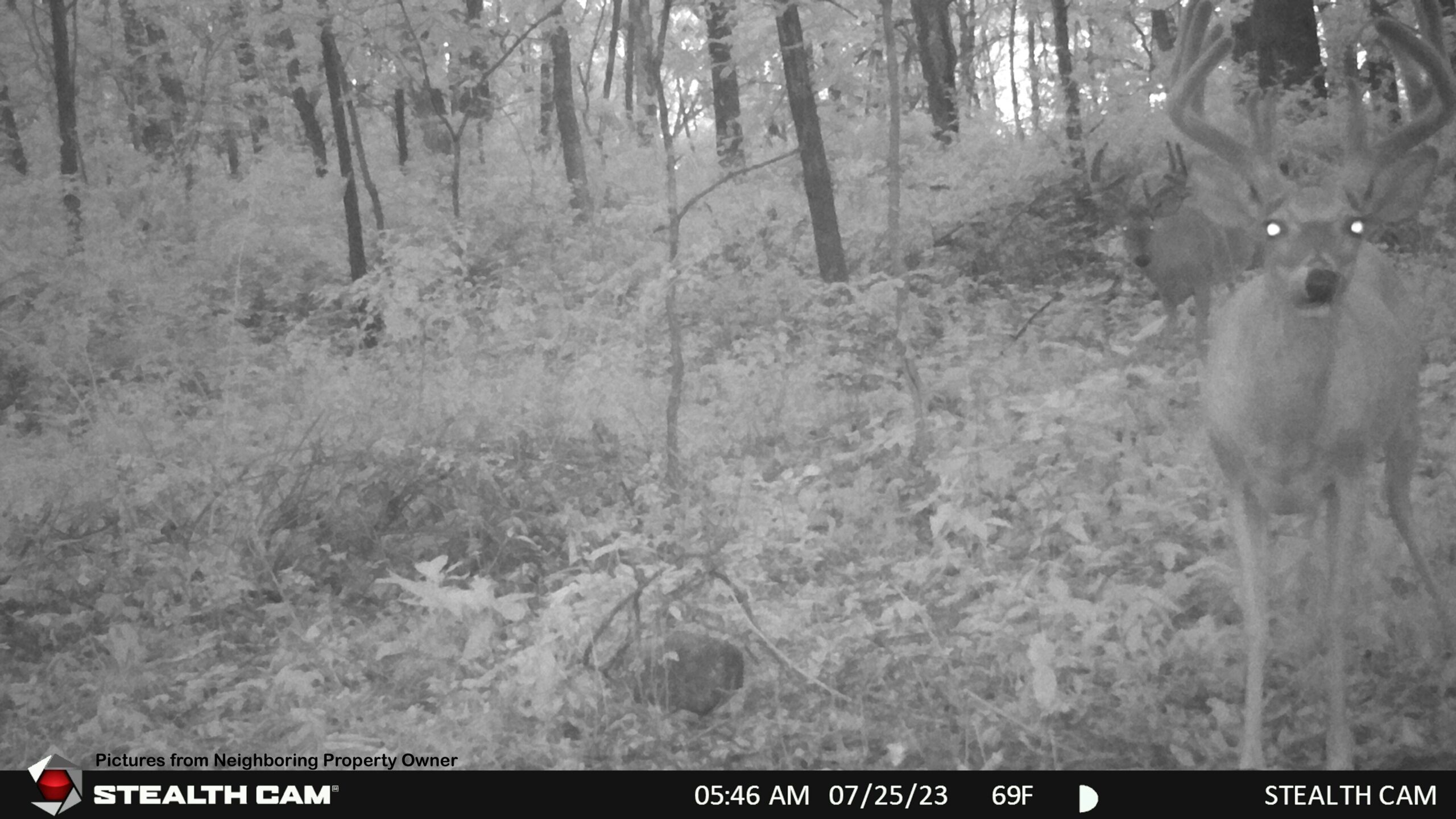 Hunting and Fishing Property for sale in Richland County, Wisconsin