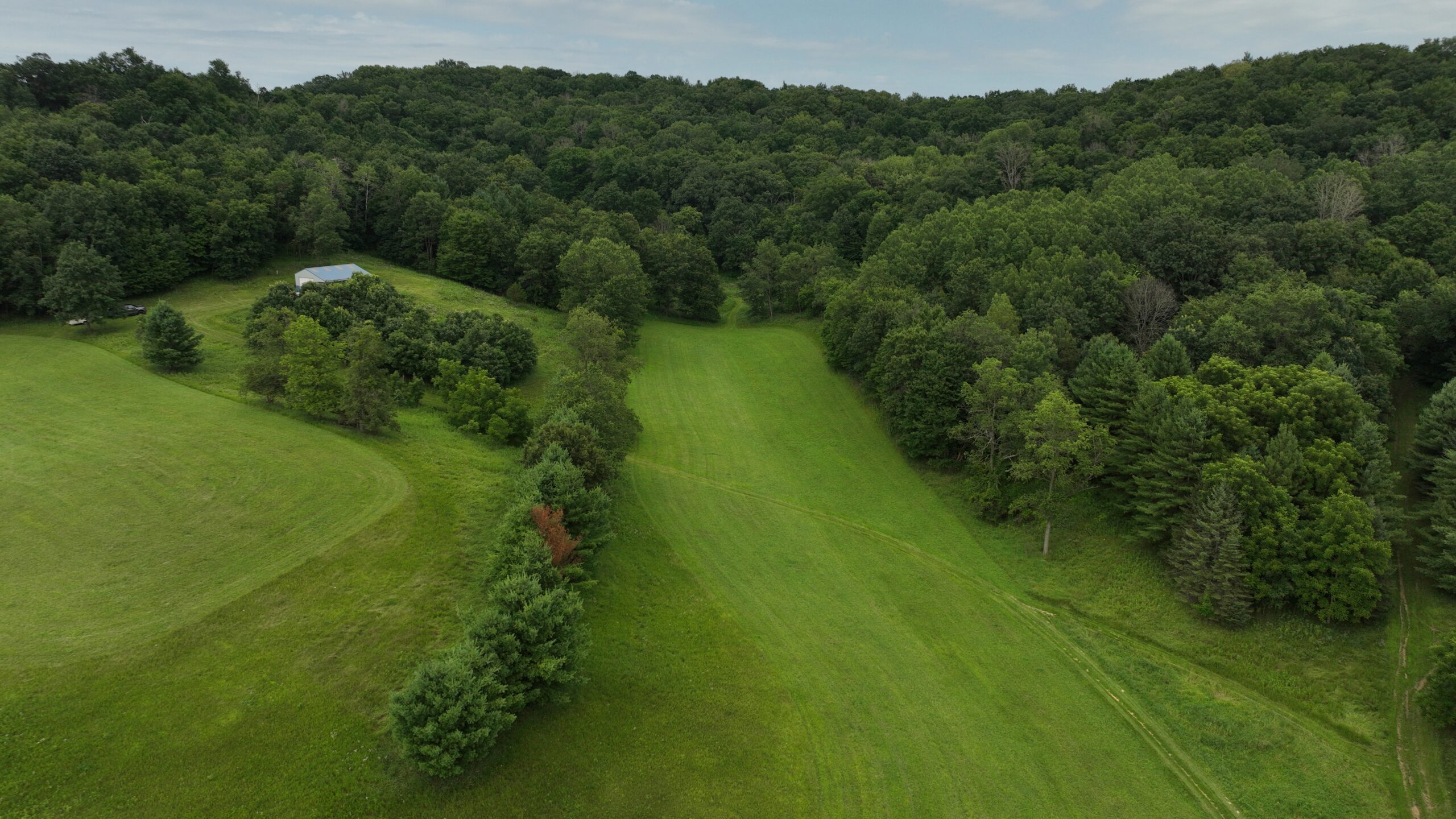 Recreational Land for Sale in Hillsboro, WI – 50.90 Acres of Scenic Wilderness in Vernon County