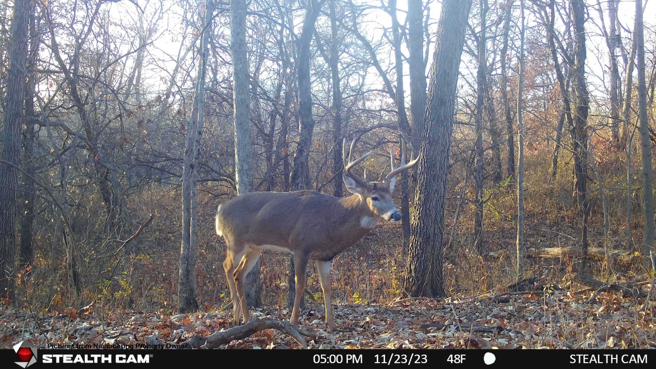 Hunting and Fishing Property for sale in Richland County, Wisconsin