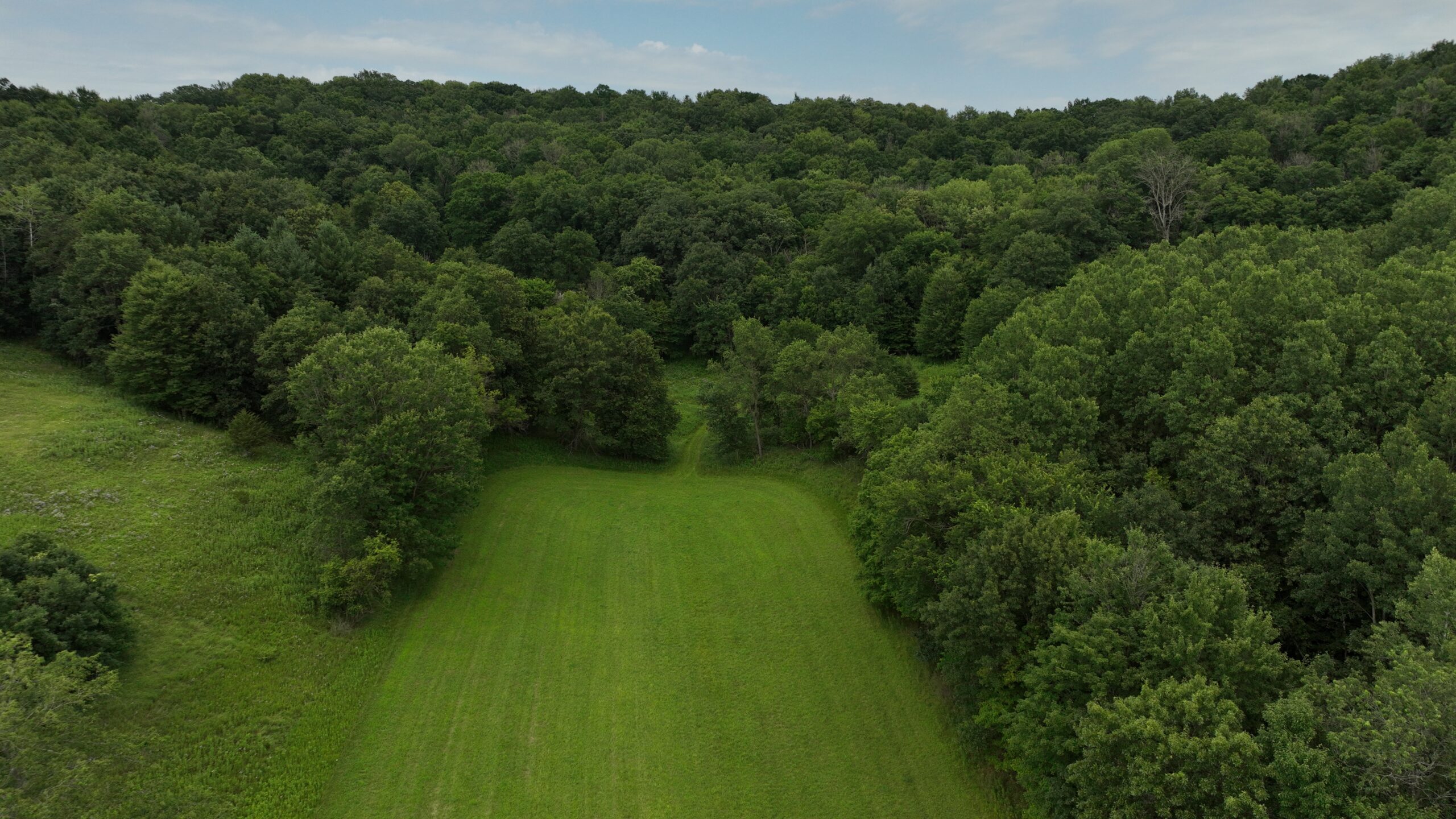 Recreational Land for Sale in Hillsboro, WI – 50.90 Acres of Scenic Wilderness in Vernon County