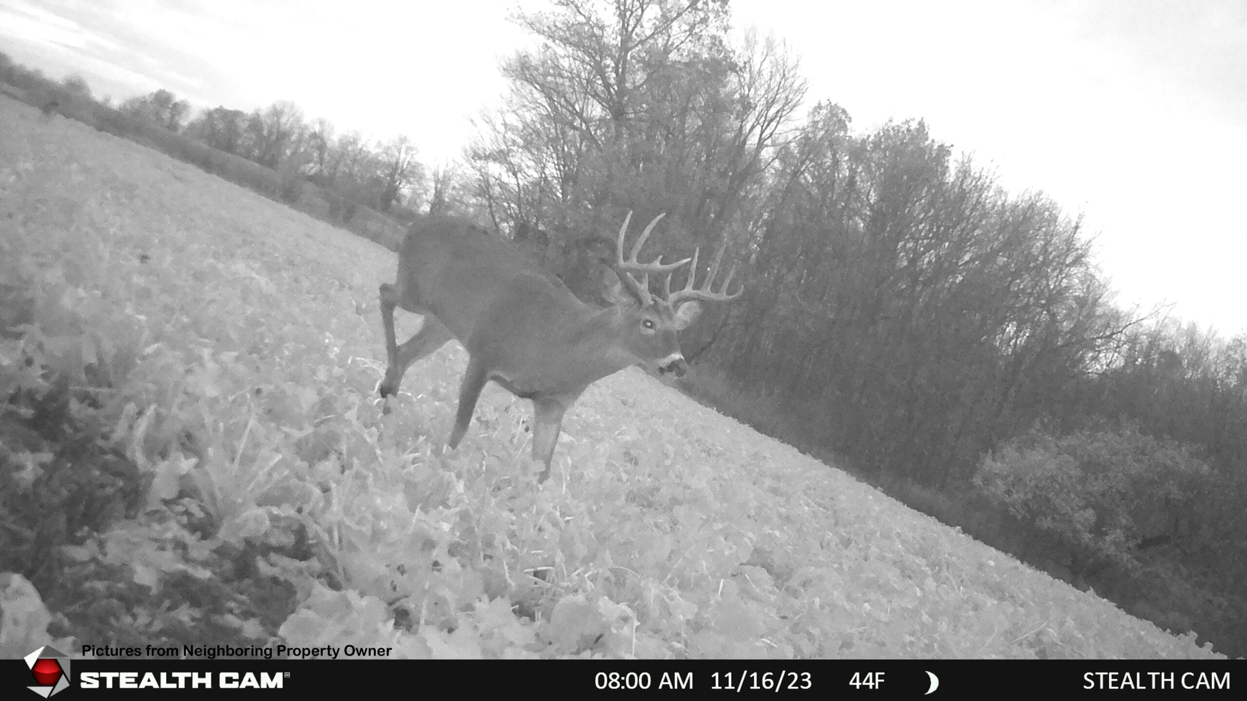Hunting and Fishing Property for sale in Richland County, Wisconsin