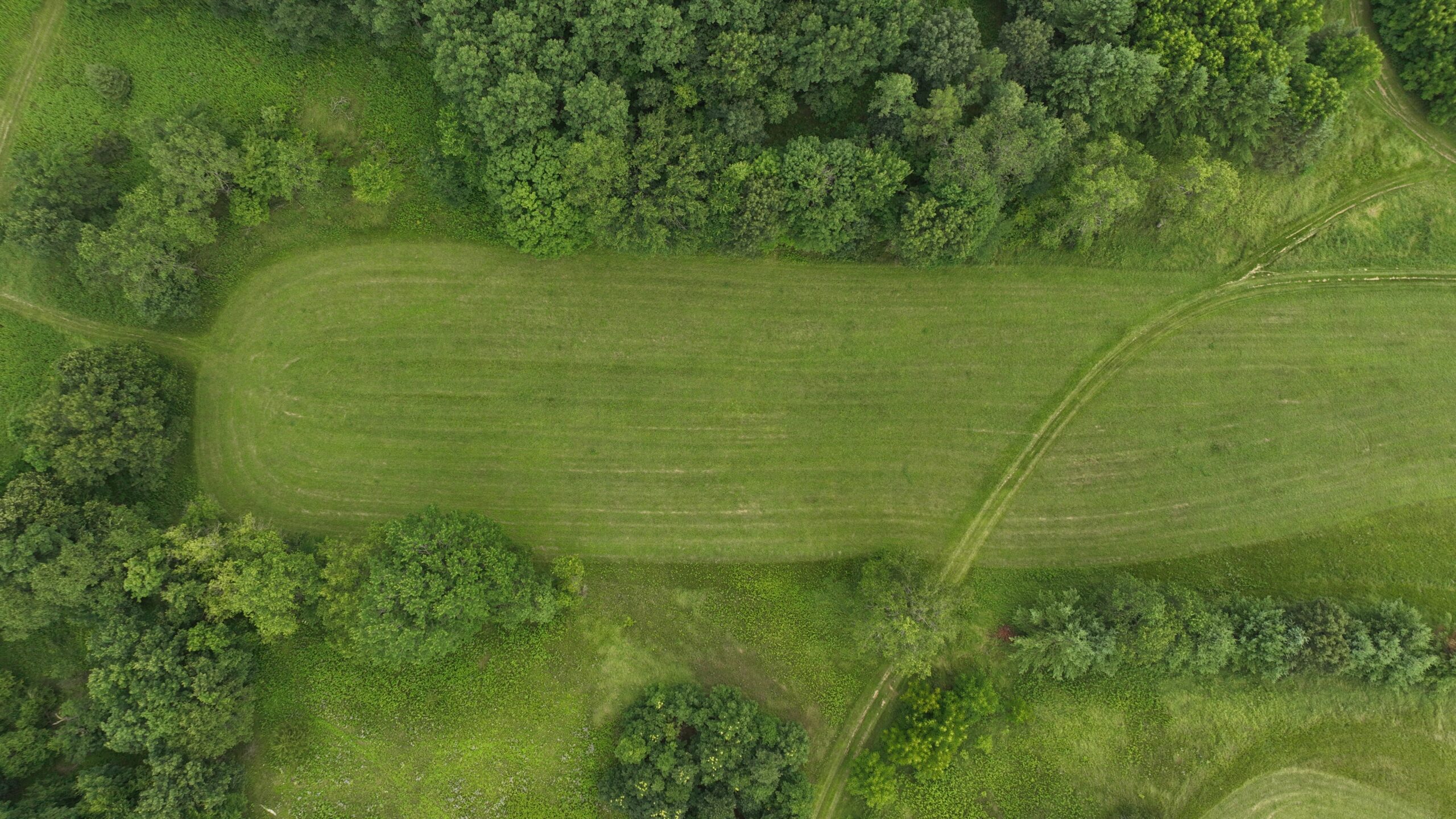 Recreational Land for Sale in Hillsboro, WI – 50.90 Acres of Scenic Wilderness in Vernon County