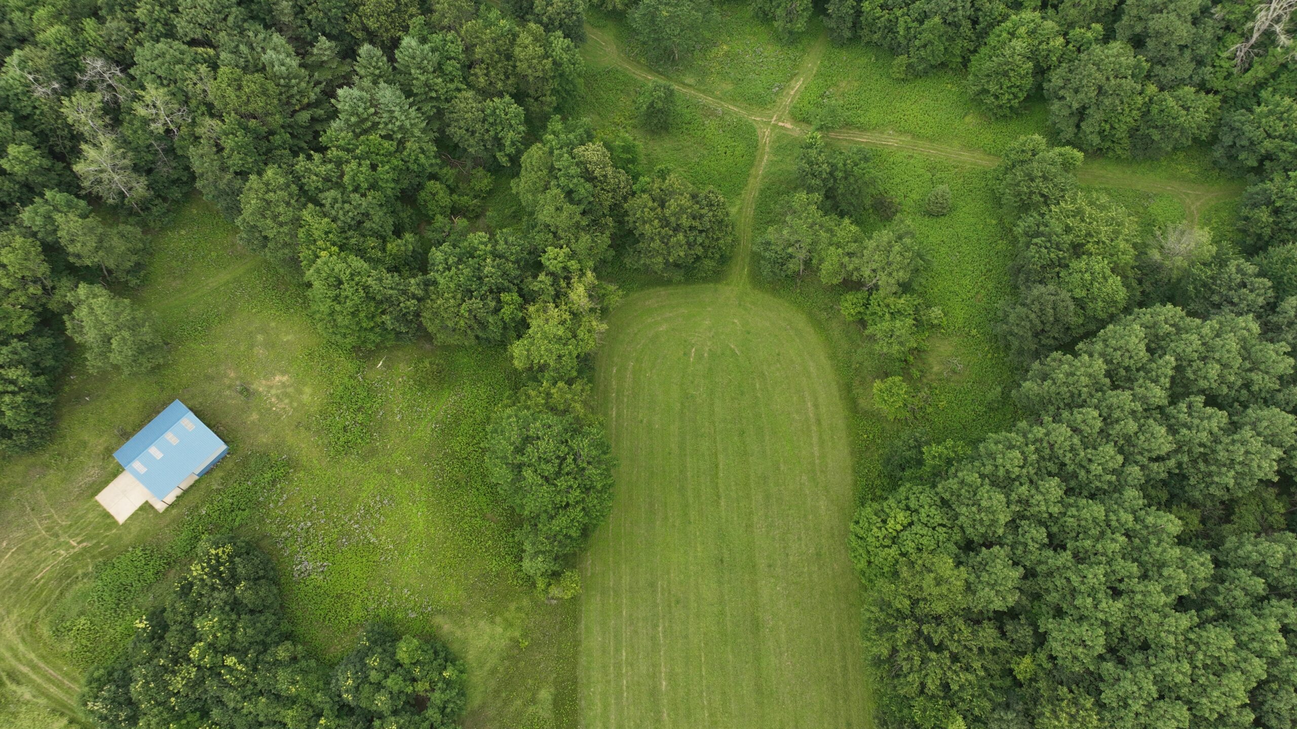 Recreational Land for Sale in Hillsboro, WI – 50.90 Acres of Scenic Wilderness in Vernon County