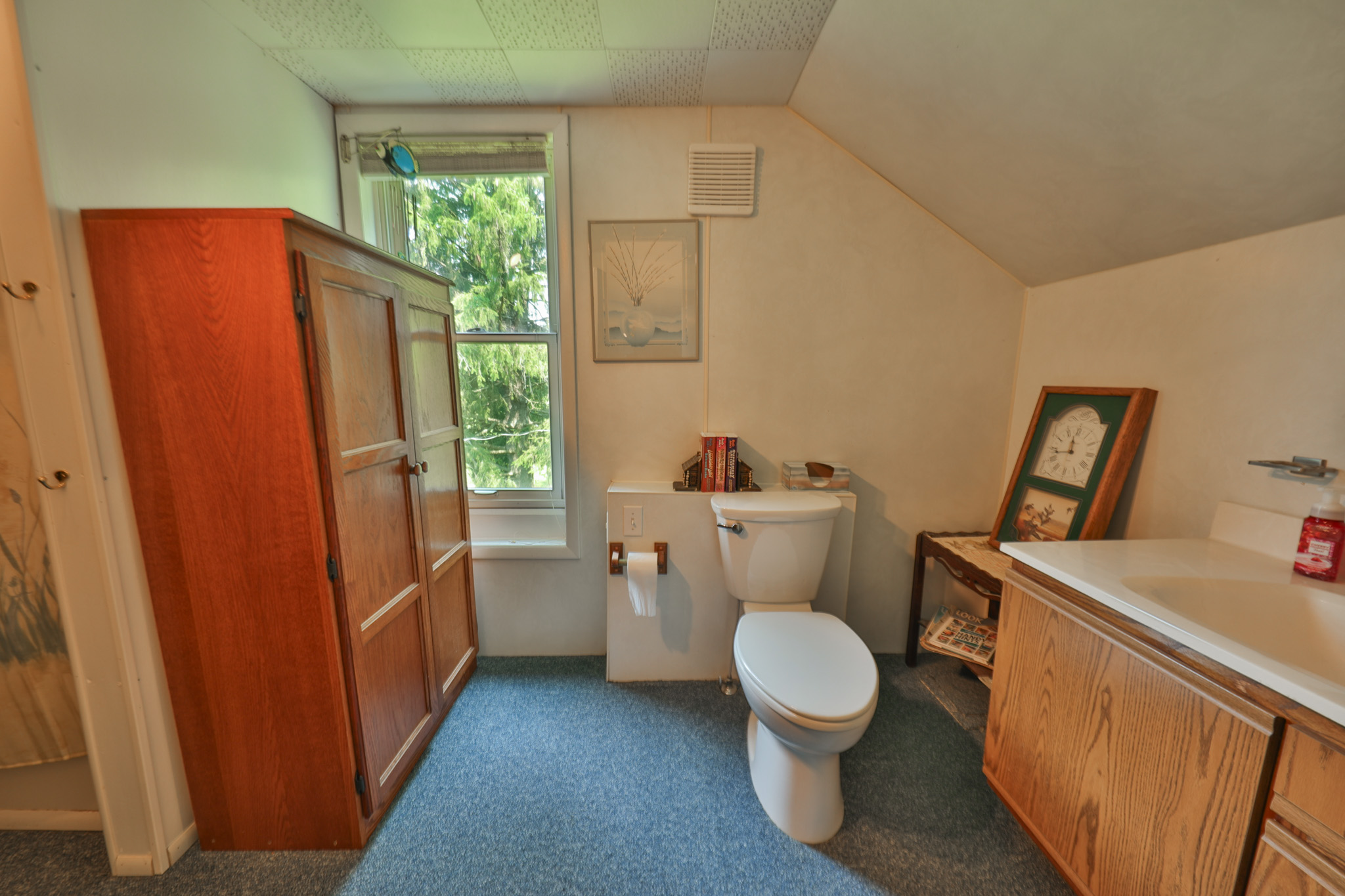 Hobby Farm for Sale in Juneau County, Wisconsin