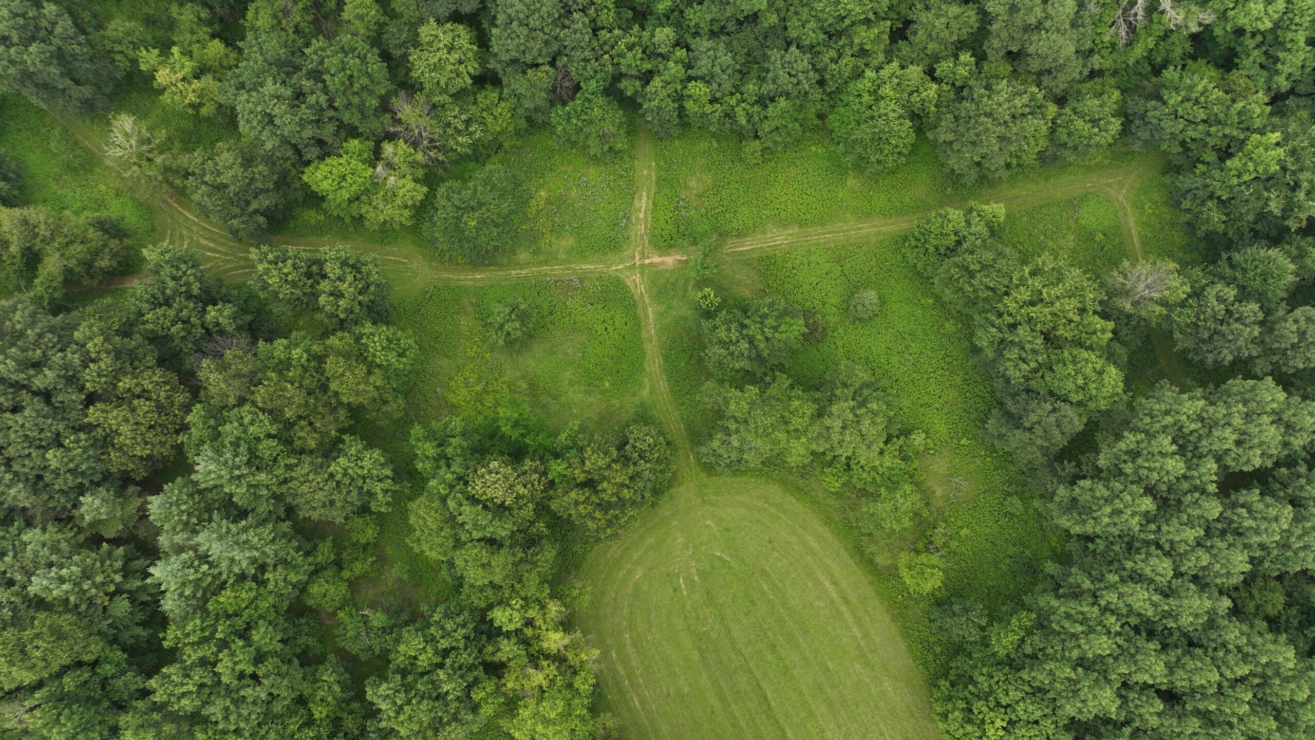 Recreational Land for Sale in Hillsboro, WI – 50.90 Acres of Scenic Wilderness in Vernon County