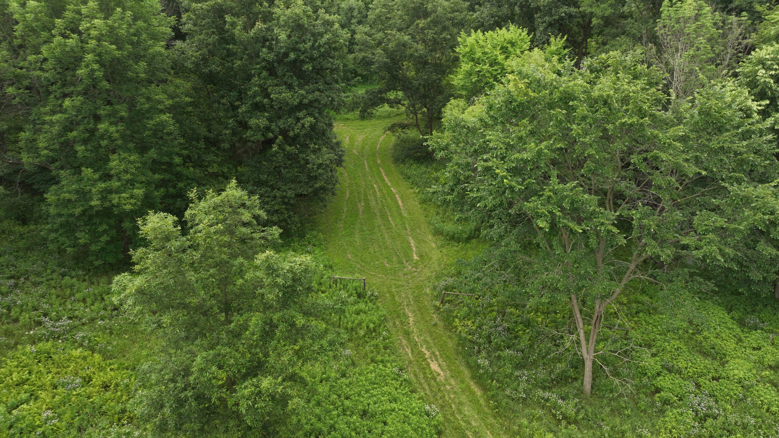 Recreational Land for Sale in Hillsboro, WI – 50.90 Acres of Scenic Wilderness in Vernon County