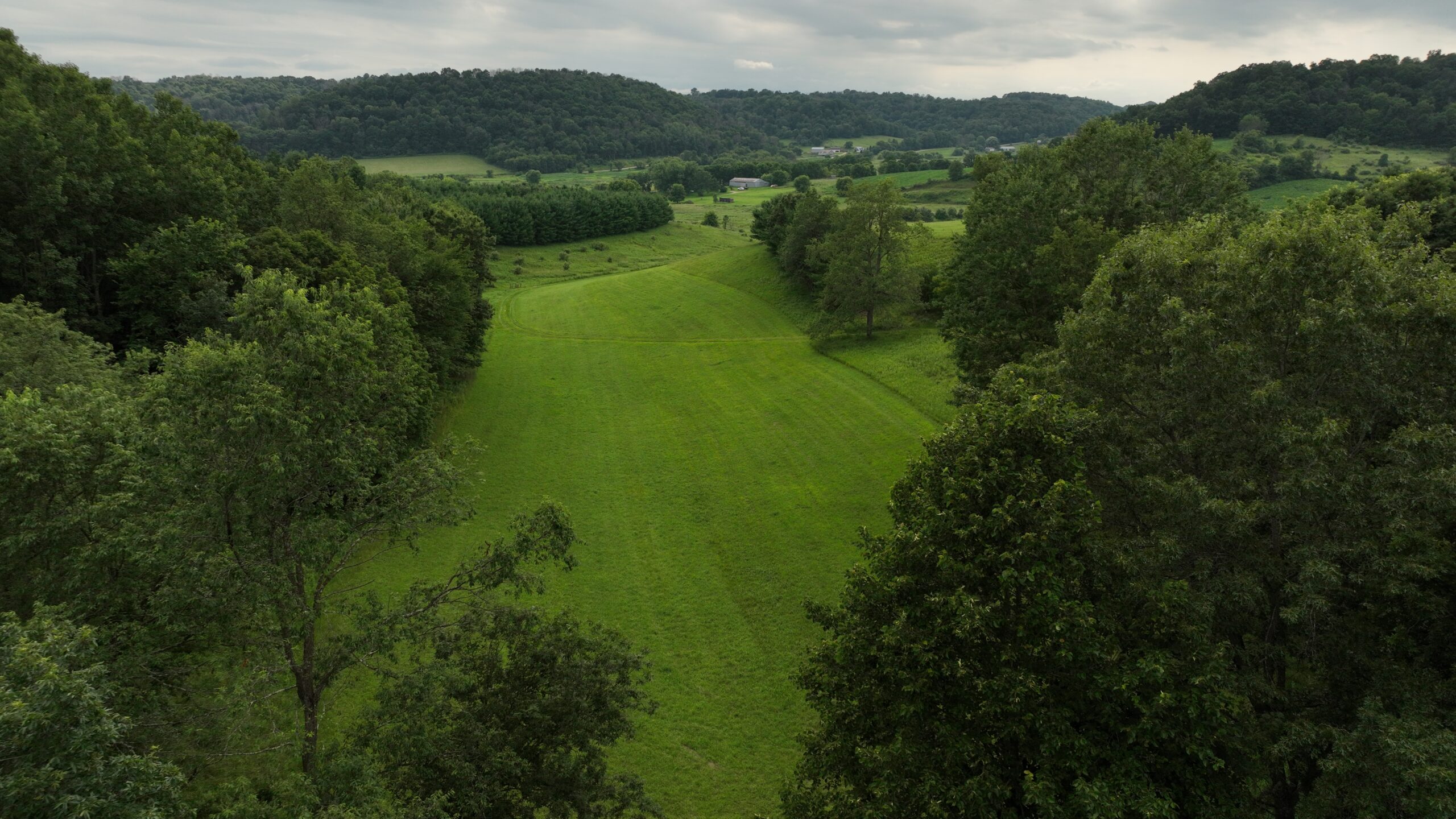 Recreational Land for Sale in Hillsboro, WI – 50.90 Acres of Scenic Wilderness in Vernon County