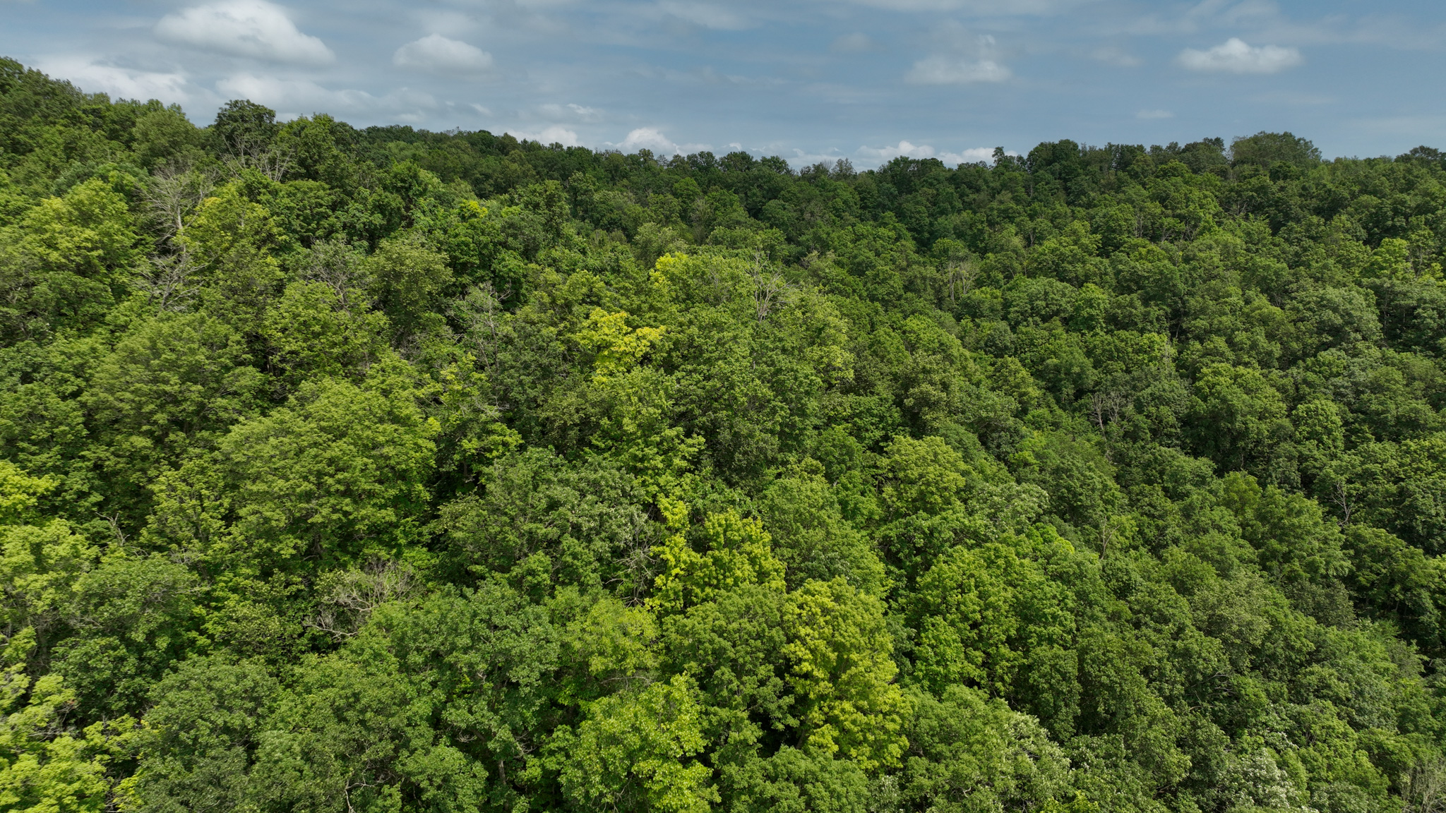 Hunting and Fishing Property for sale in Richland County, Wisconsin