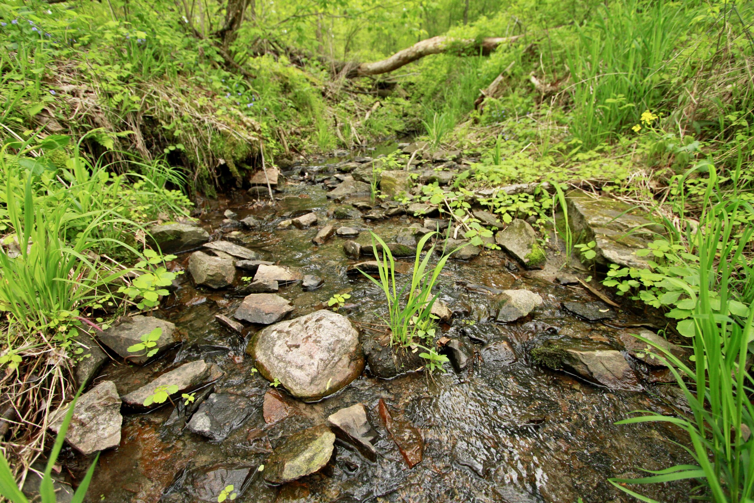 Country Home with Private Waterfall for Sale in Sauk County, Wisconsin