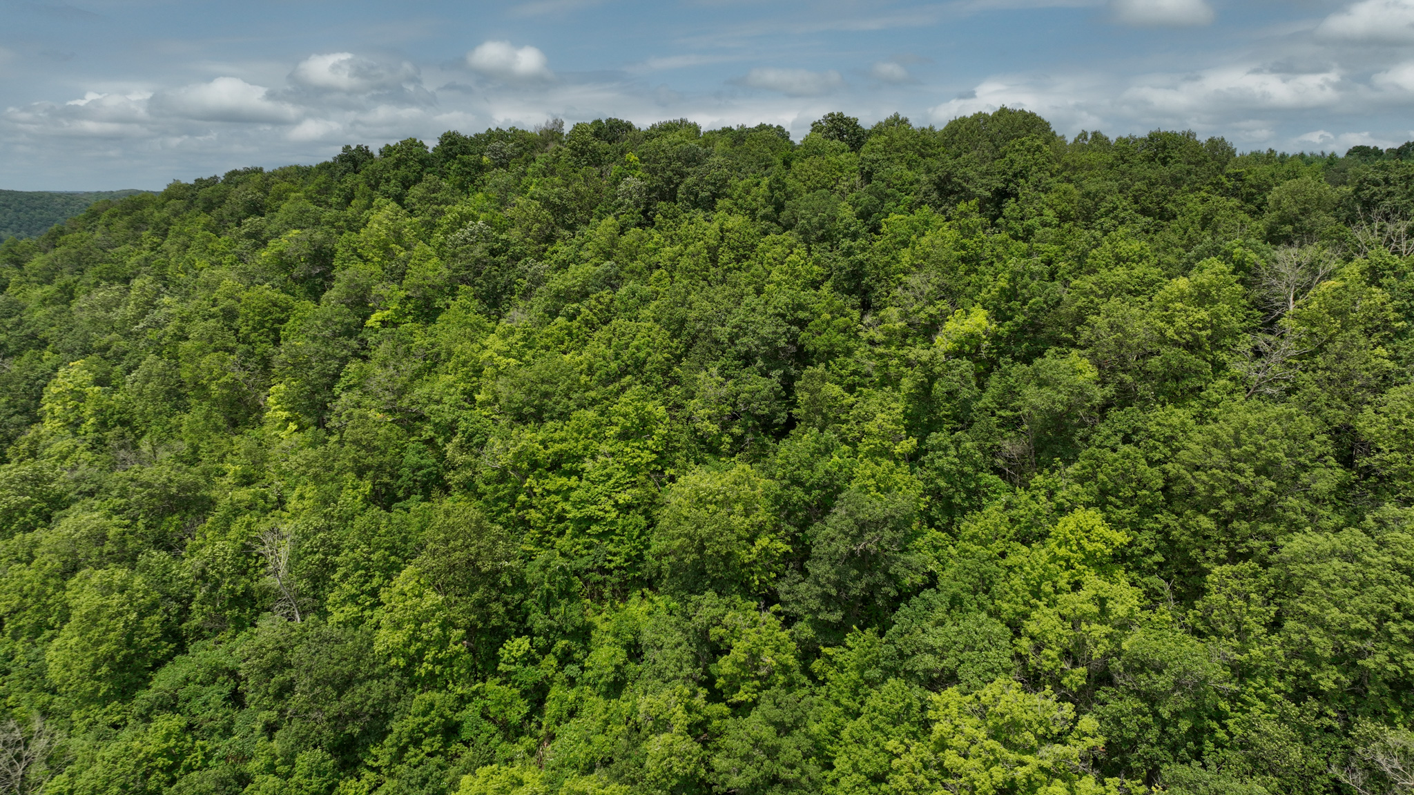 Hunting and Fishing Property for sale in Richland County, Wisconsin