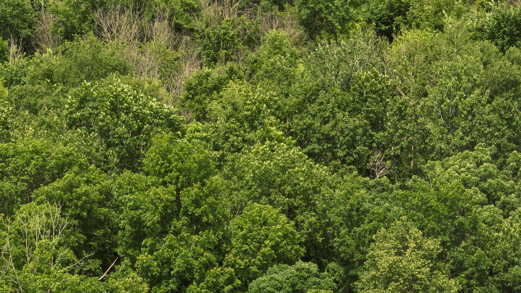 Hunting and Fishing Property for sale in Richland County, Wisconsin