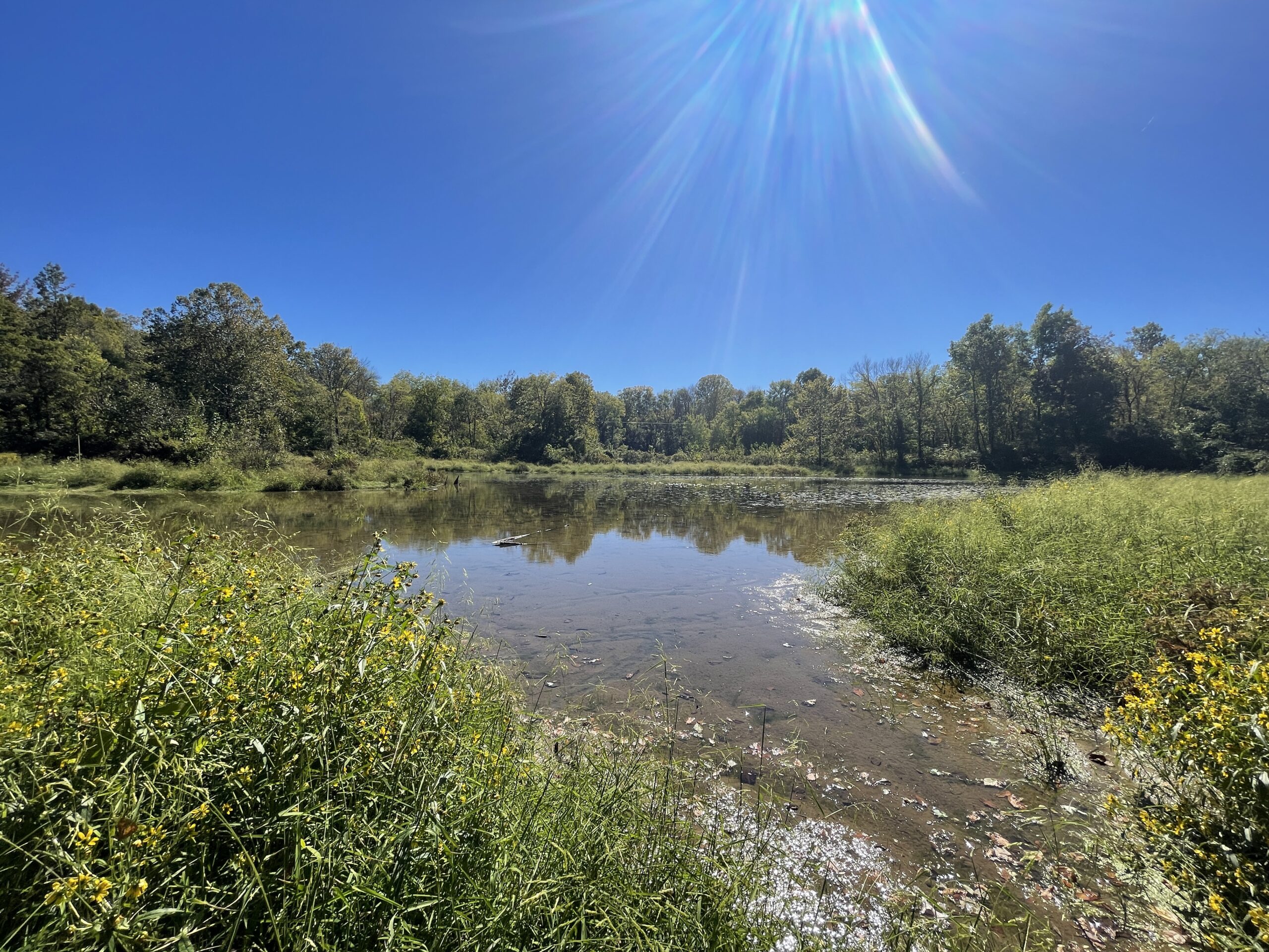 Whitetail and Waterfowl Hunting Property w/ Crop Income in Bowling Green, Kentucky