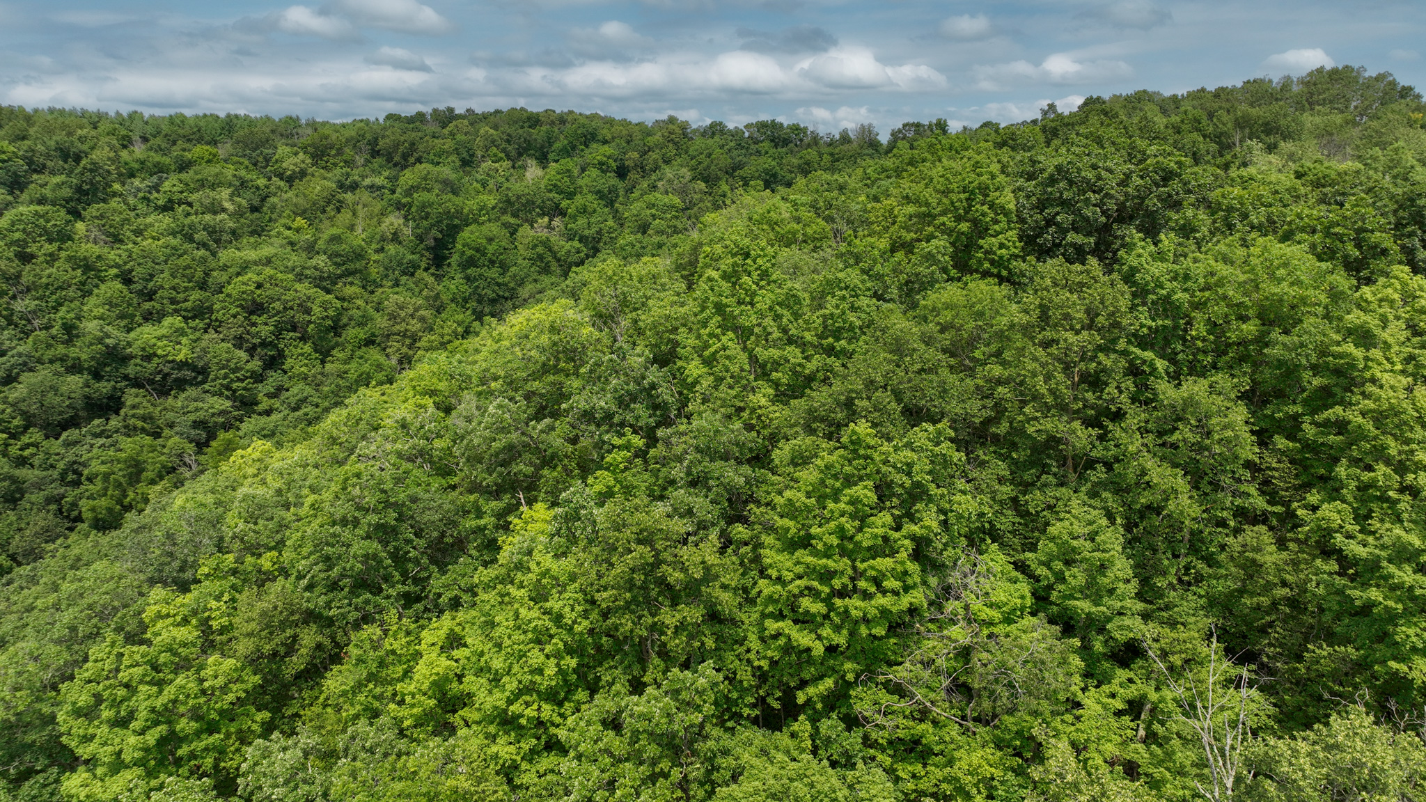 Hunting and Fishing Property for sale in Richland County, Wisconsin