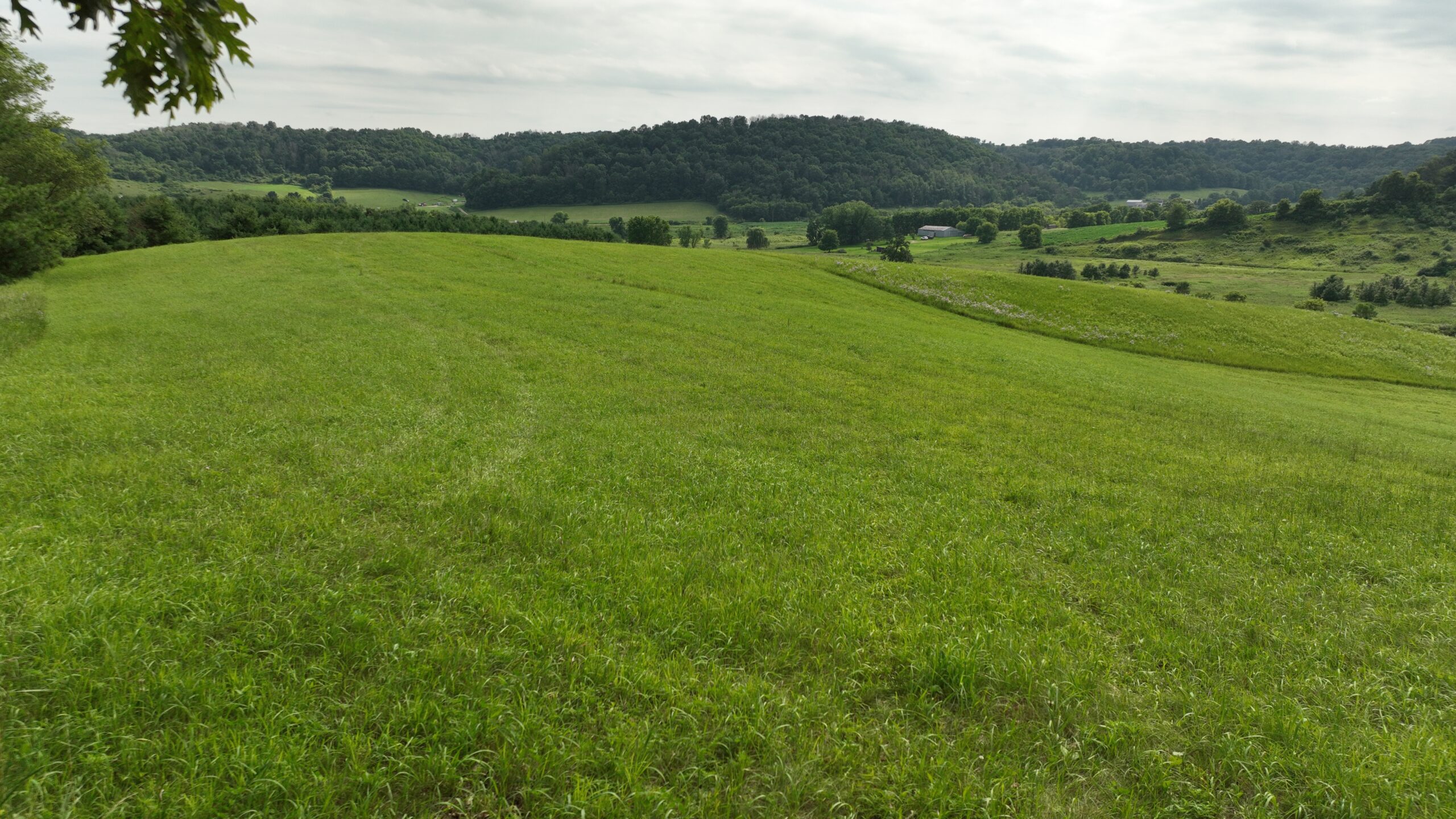 Recreational Land for Sale in Hillsboro, WI – 50.90 Acres of Scenic Wilderness in Vernon County