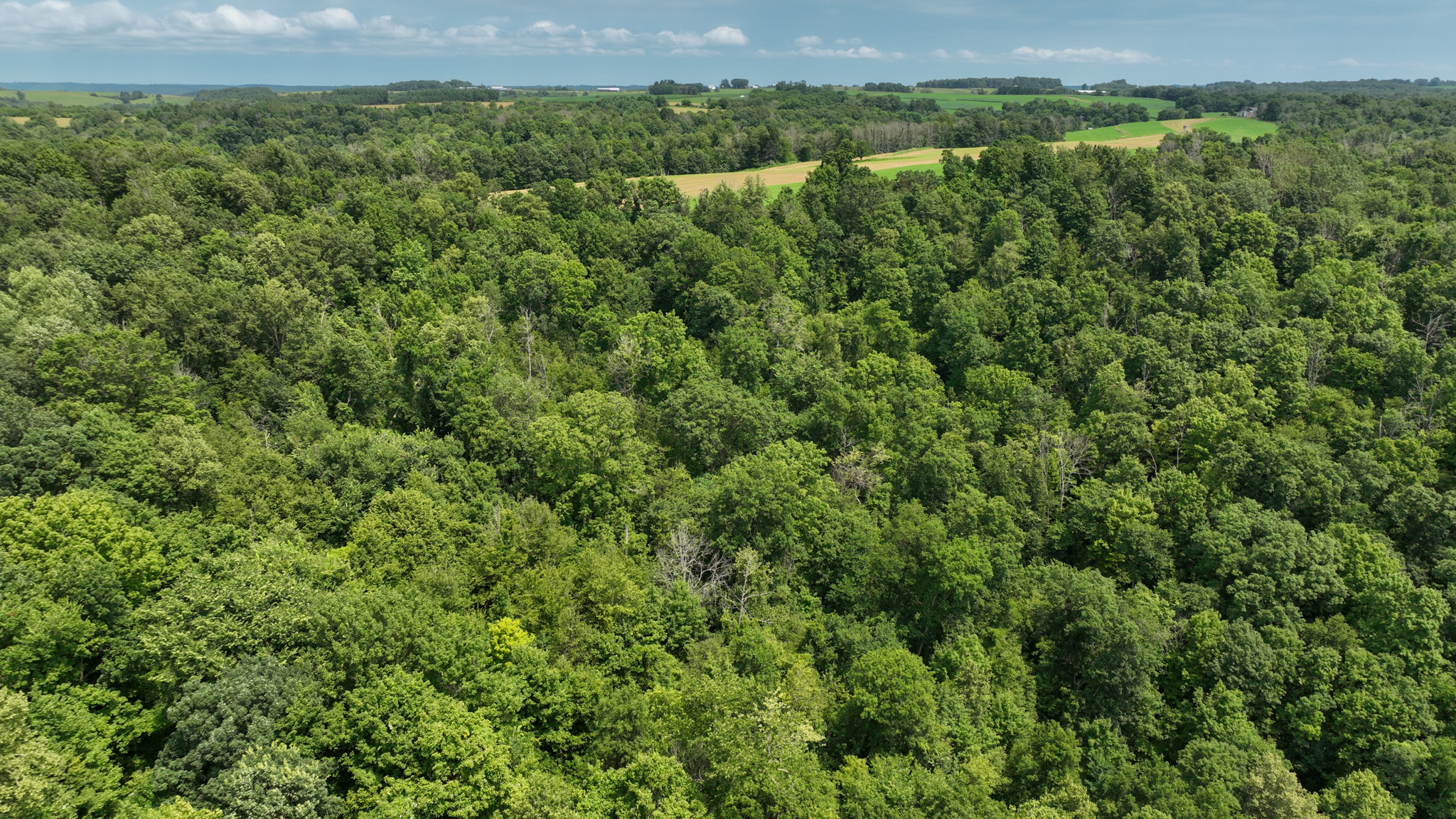 Hunting and Fishing Property for sale in Richland County, Wisconsin