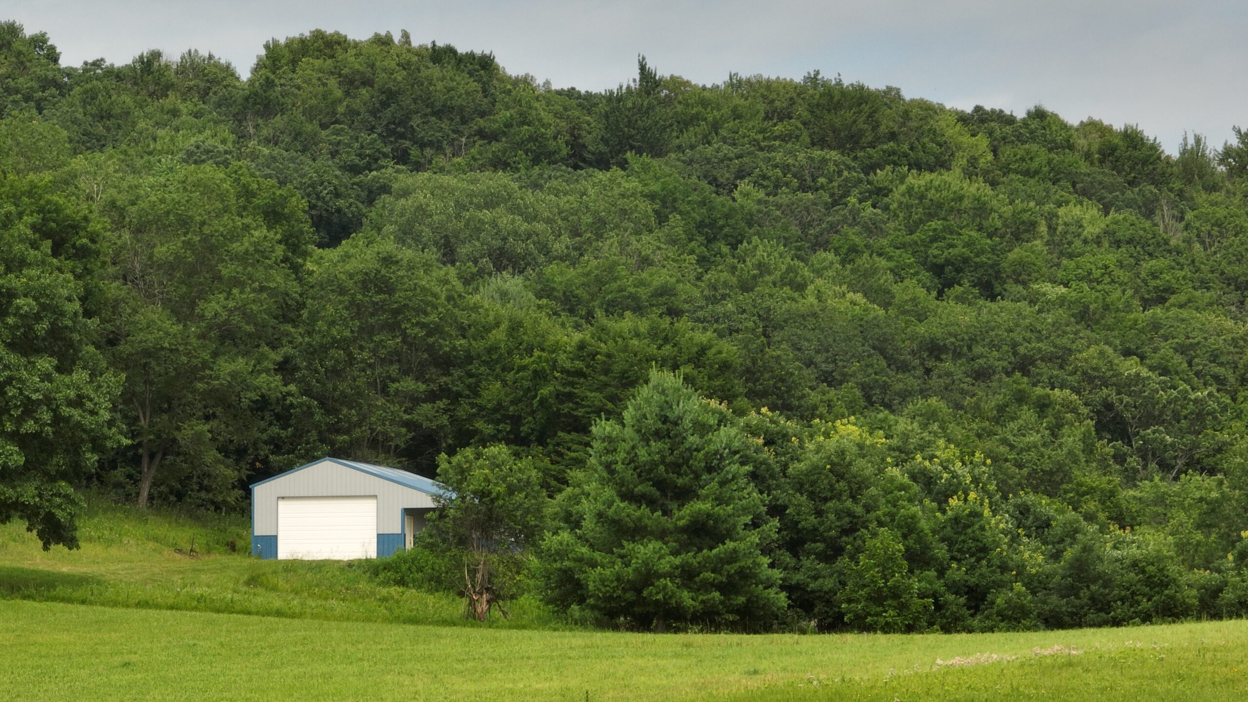 Recreational Land for Sale in Hillsboro, WI – 50.90 Acres of Scenic Wilderness in Vernon County