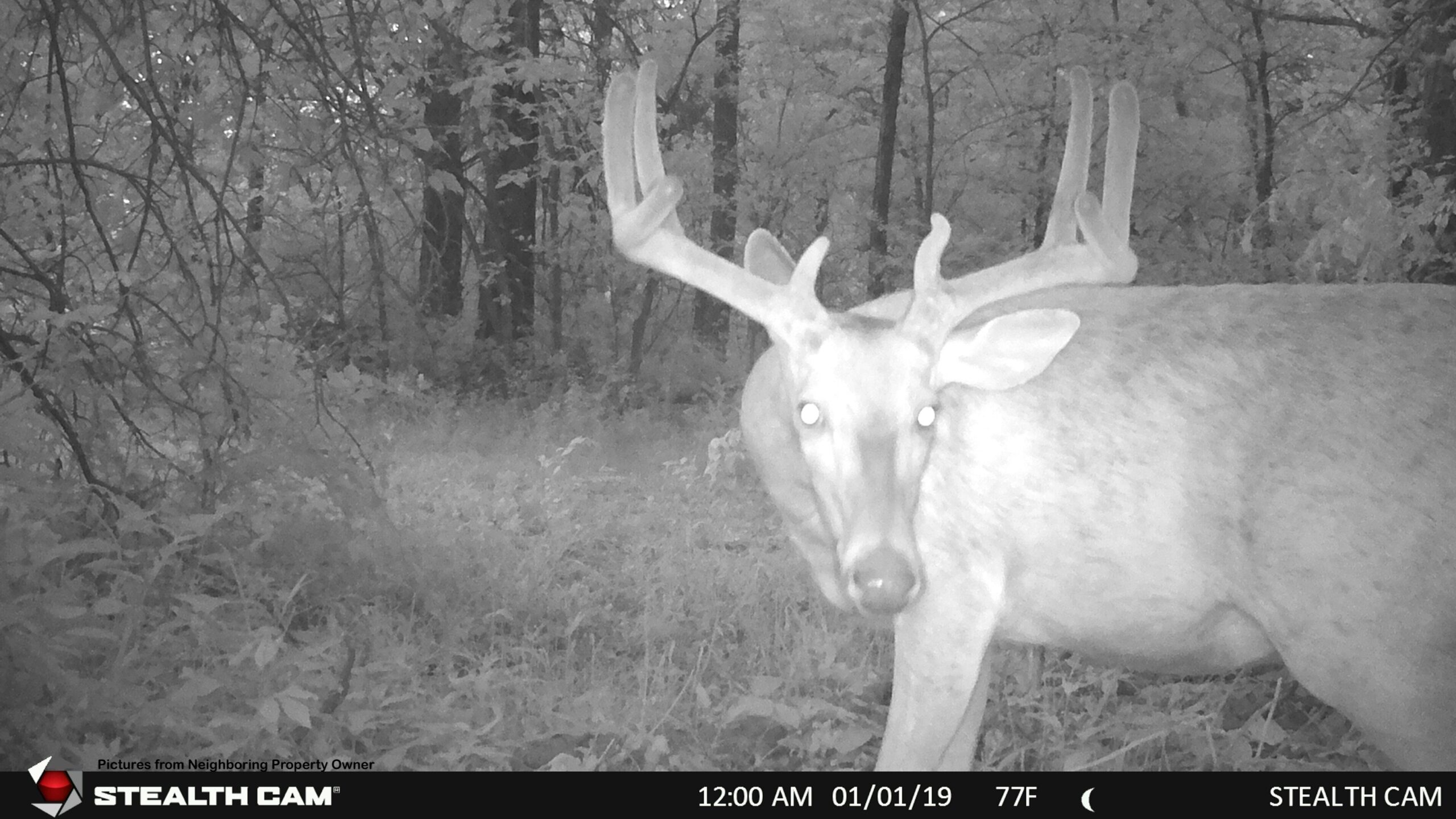 Hunting and Fishing Property for sale in Richland County, Wisconsin