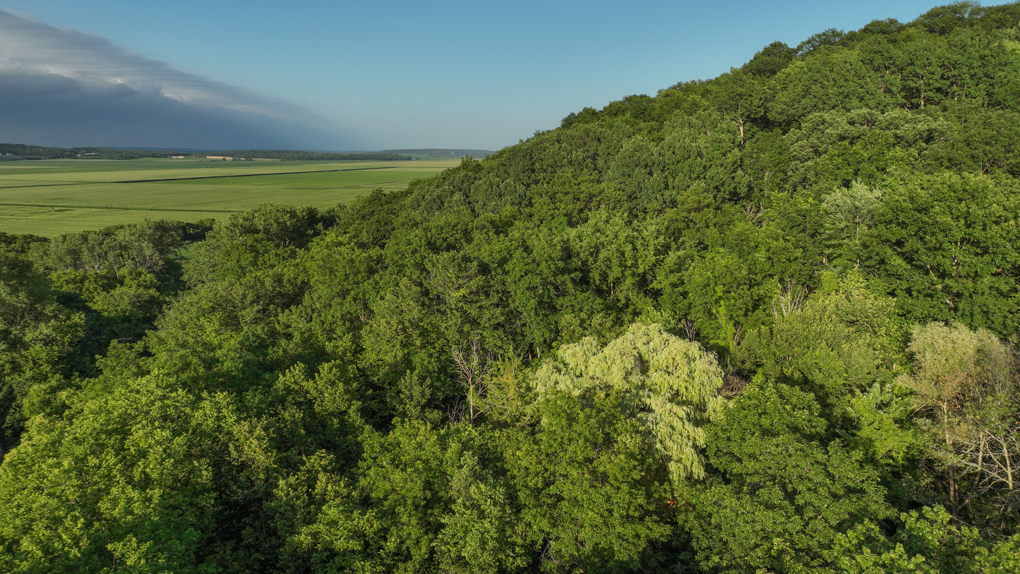 Country Home with Private Waterfall for Sale in Sauk County, Wisconsin