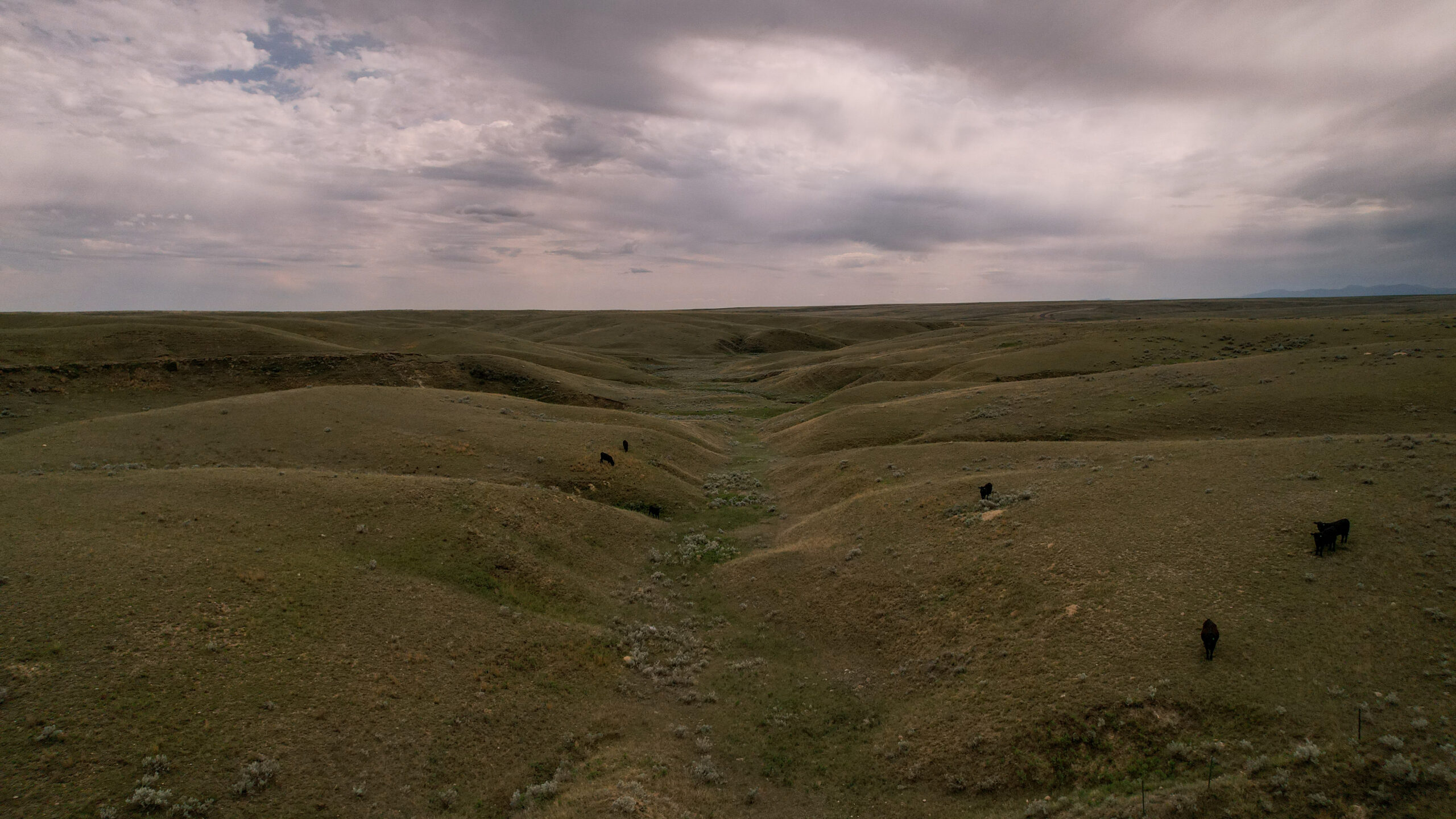 Alkali Creek Ranch
