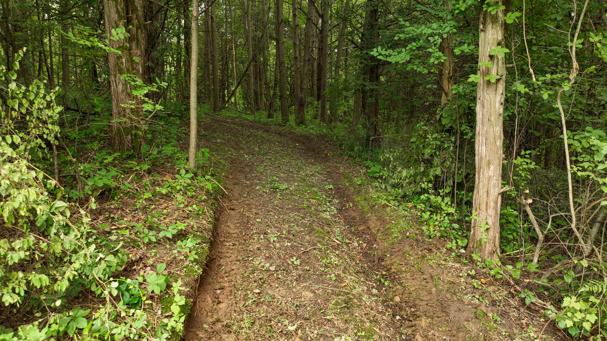 Country Home with Private Waterfall for Sale in Sauk County, Wisconsin