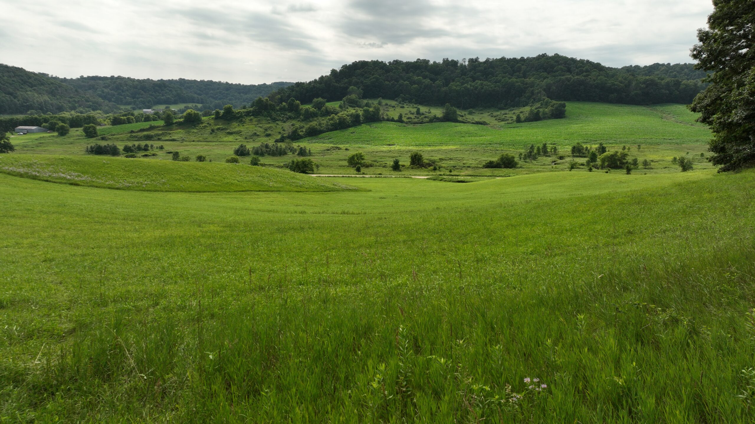 Recreational Land for Sale in Hillsboro, WI – 50.90 Acres of Scenic Wilderness in Vernon County