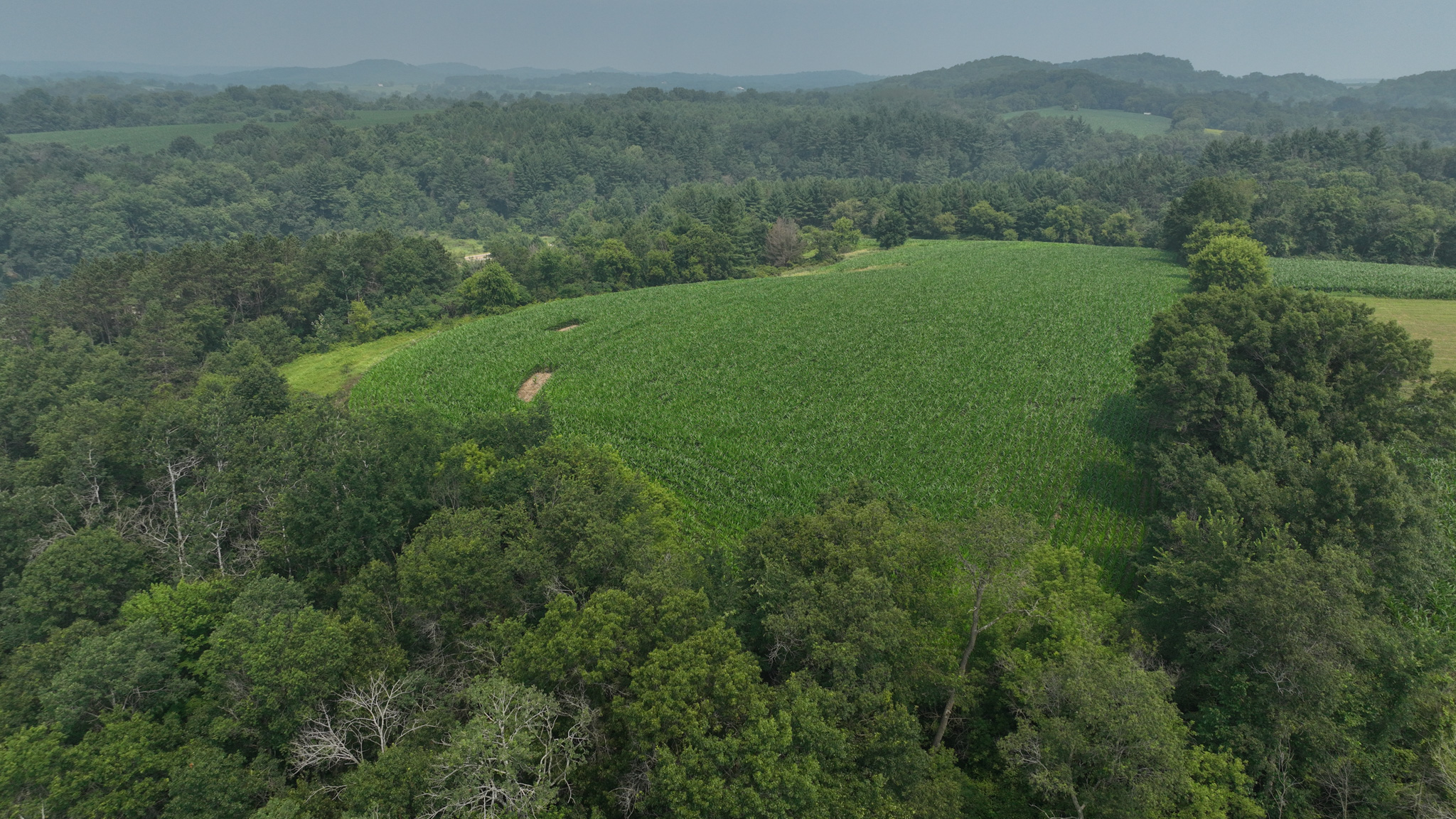 Hobby Farm for Sale in Juneau County, Wisconsin