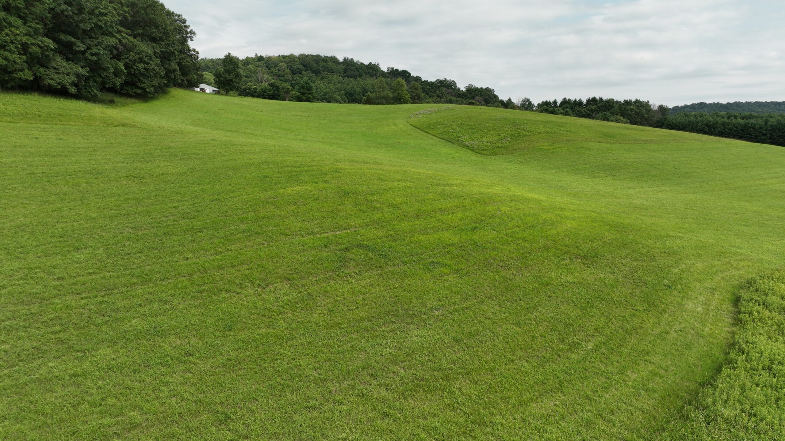 Recreational Land for Sale in Hillsboro, WI – 50.90 Acres of Scenic Wilderness in Vernon County