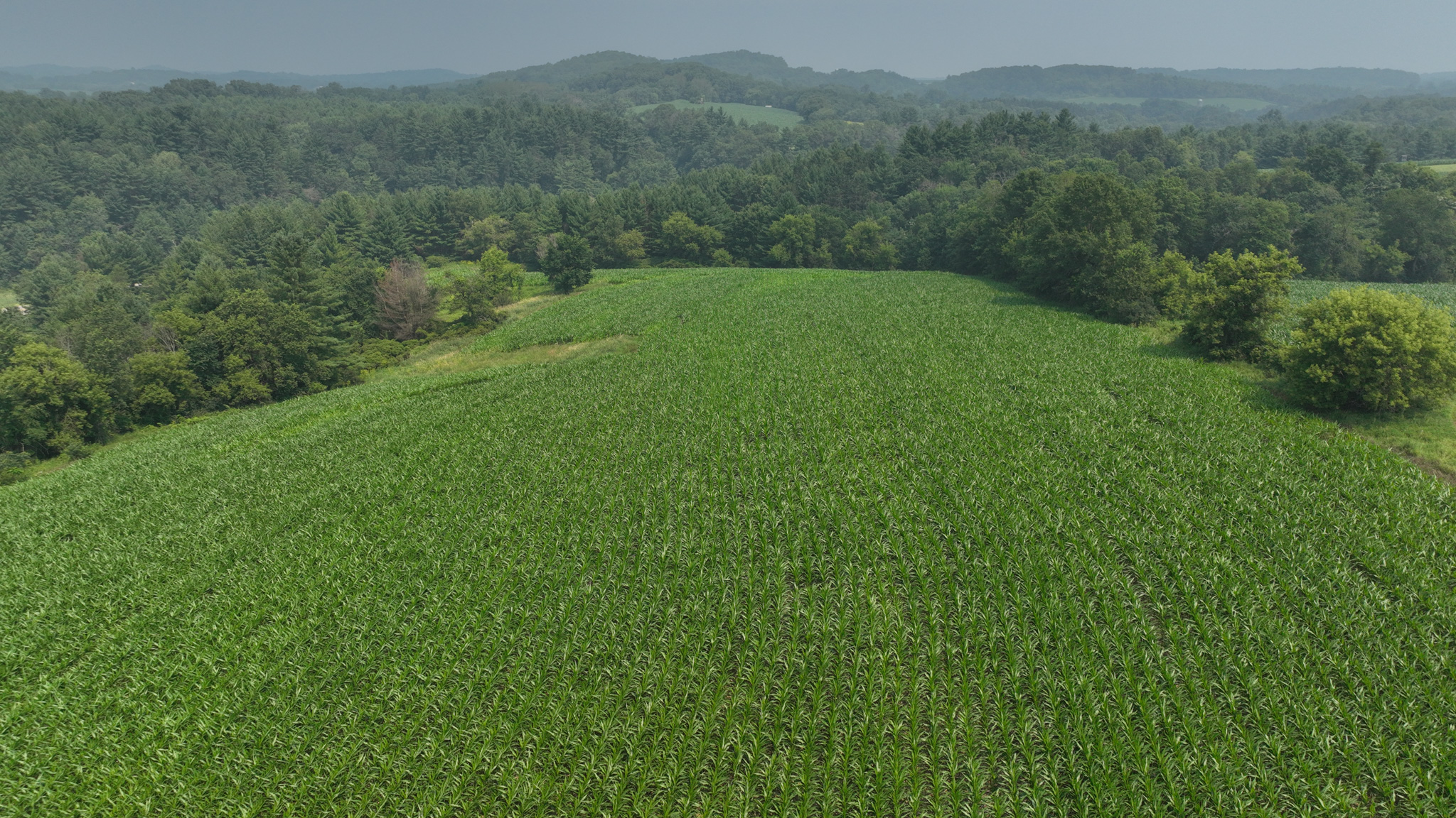 Hobby Farm for Sale in Juneau County, Wisconsin