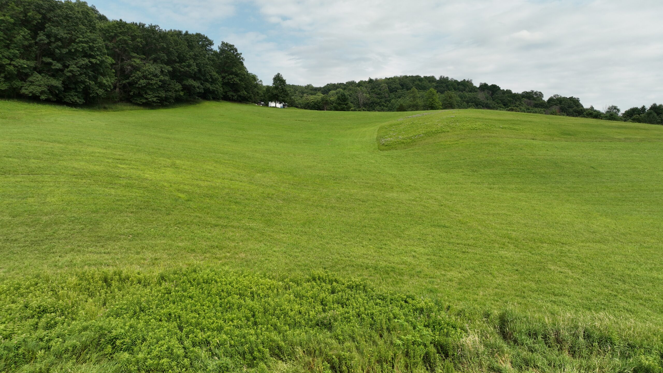 Recreational Land for Sale in Hillsboro, WI – 50.90 Acres of Scenic Wilderness in Vernon County
