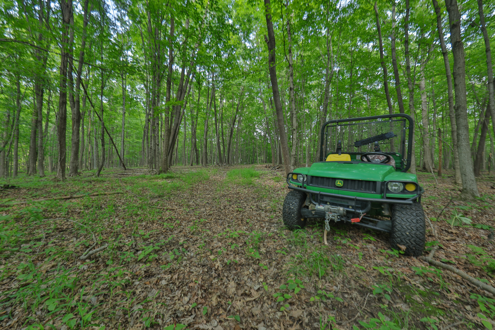 Private 40-Acre Cabin Retreat for Sale in Hillsboro, Wisconsin – Vernon County