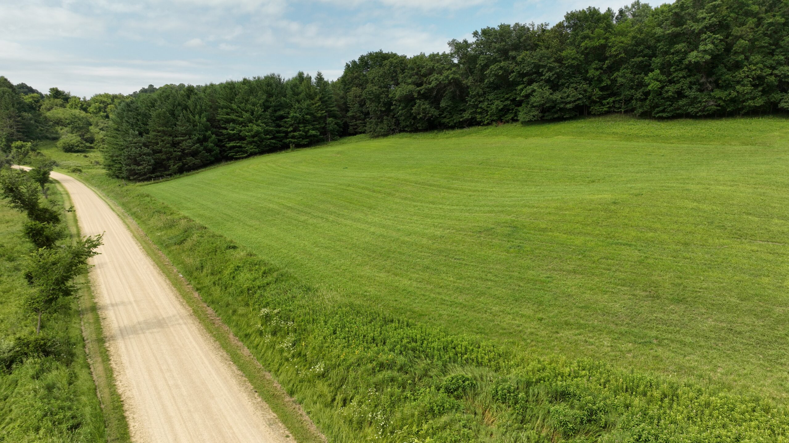 Recreational Land for Sale in Hillsboro, WI – 50.90 Acres of Scenic Wilderness in Vernon County