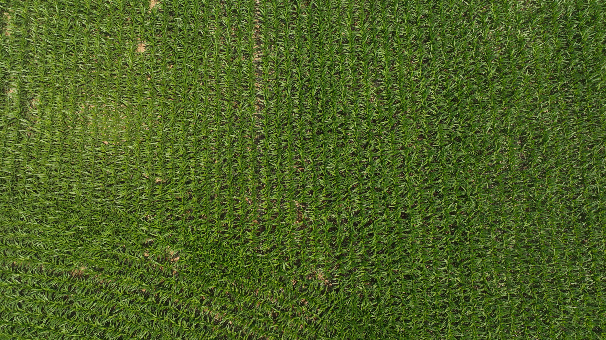 Hobby Farm for Sale in Juneau County, Wisconsin