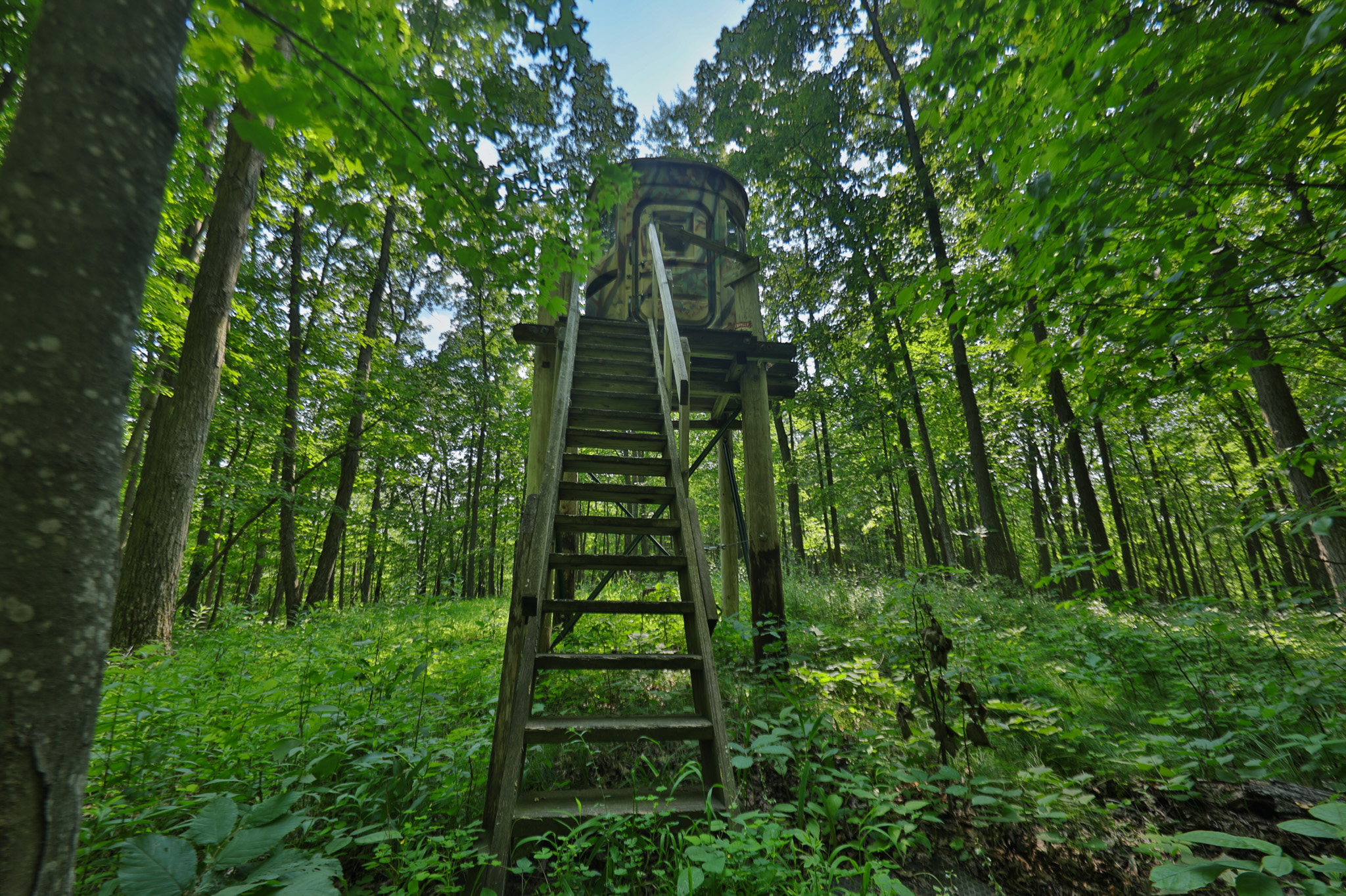 Private 40-Acre Cabin Retreat for Sale in Hillsboro, Wisconsin – Vernon County