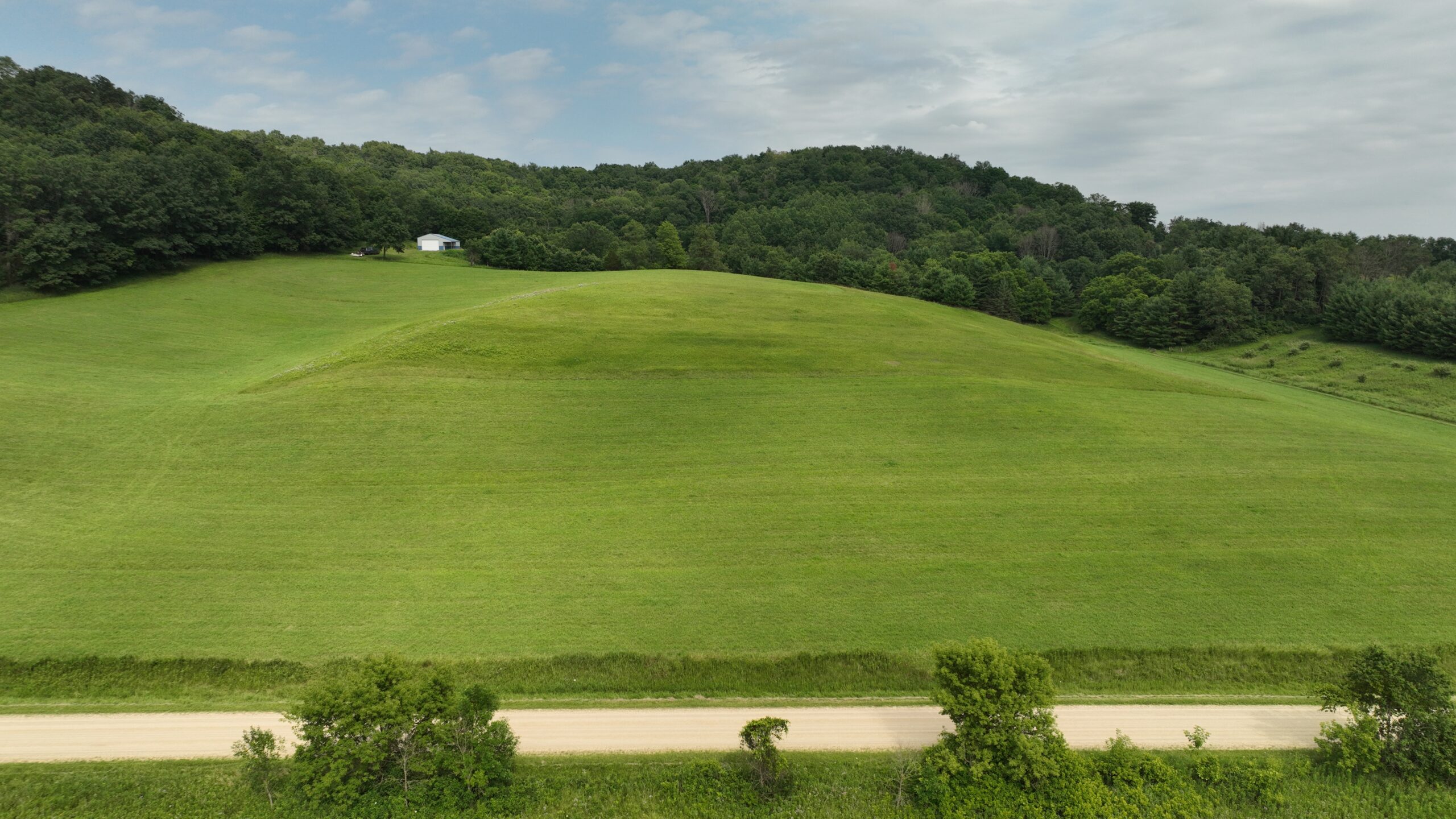 Recreational Land for Sale in Hillsboro, WI – 50.90 Acres of Scenic Wilderness in Vernon County