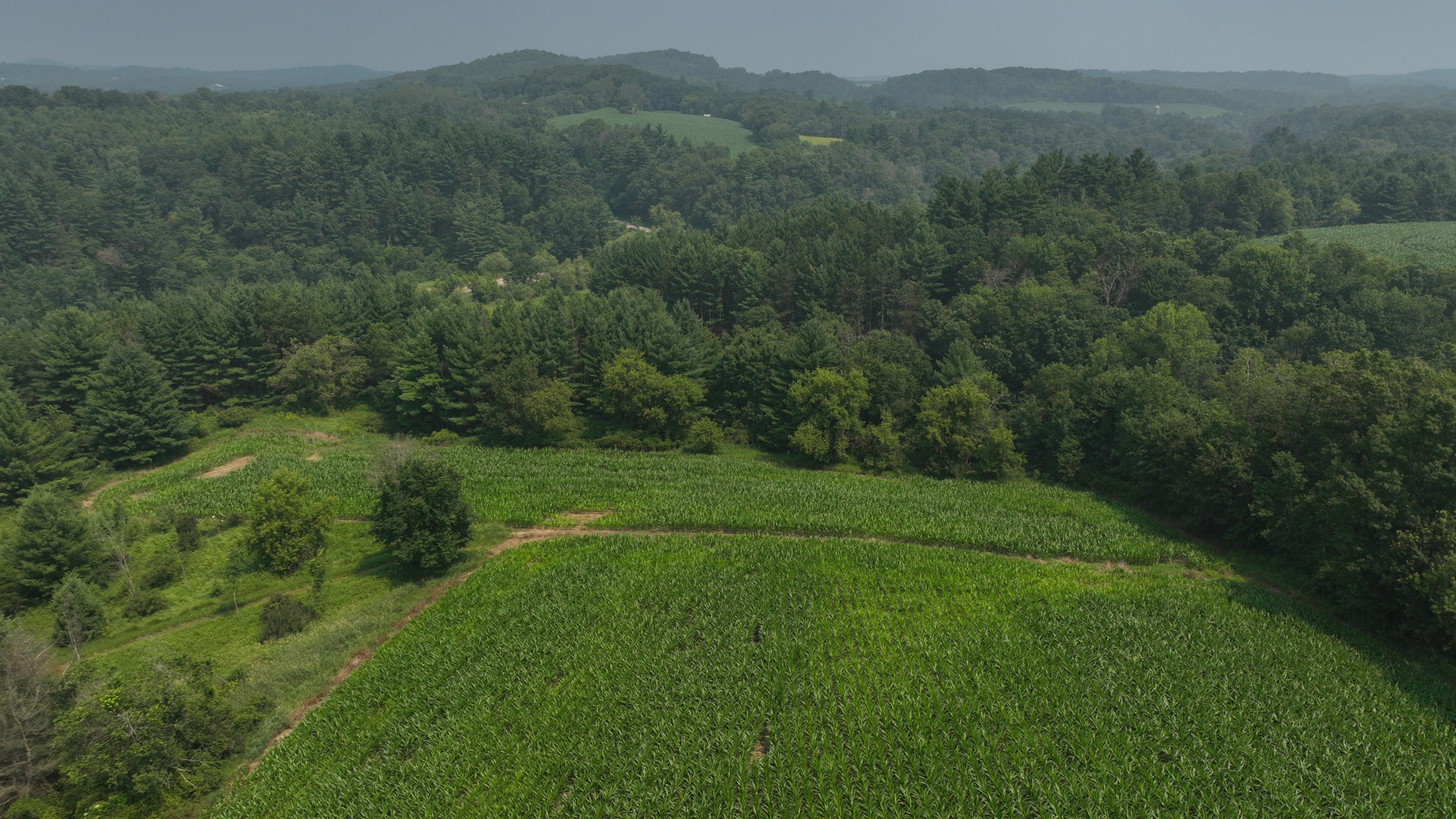 Hobby Farm for Sale in Juneau County, Wisconsin