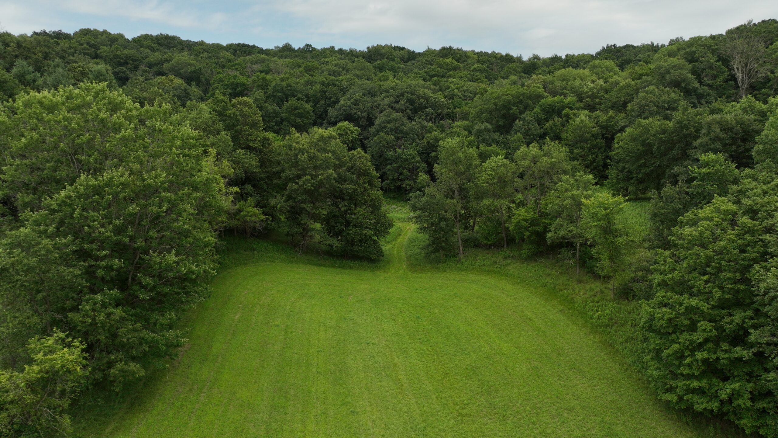 Recreational Land for Sale in Hillsboro, WI – 50.90 Acres of Scenic Wilderness in Vernon County