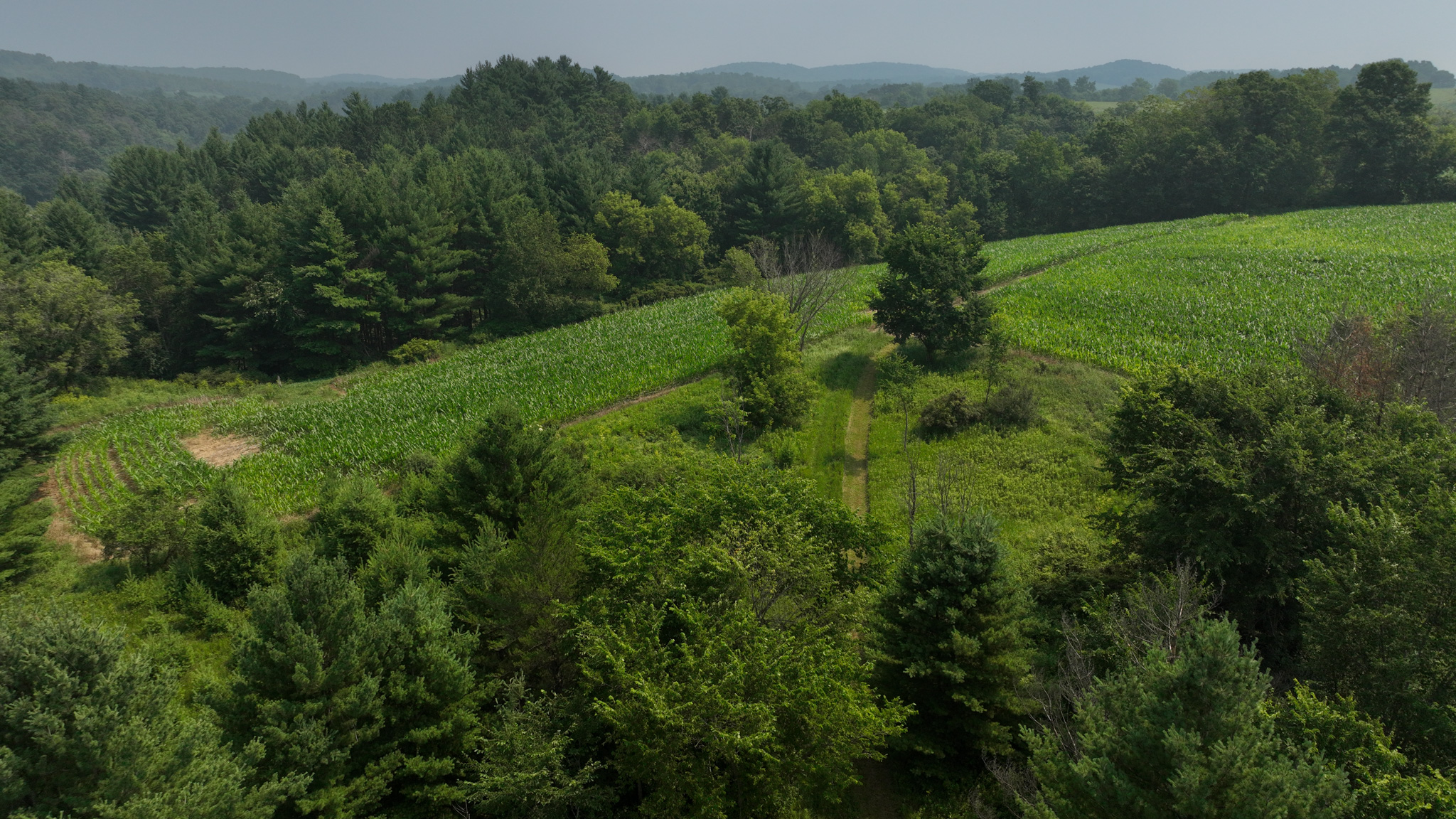 Hobby Farm for Sale in Juneau County, Wisconsin