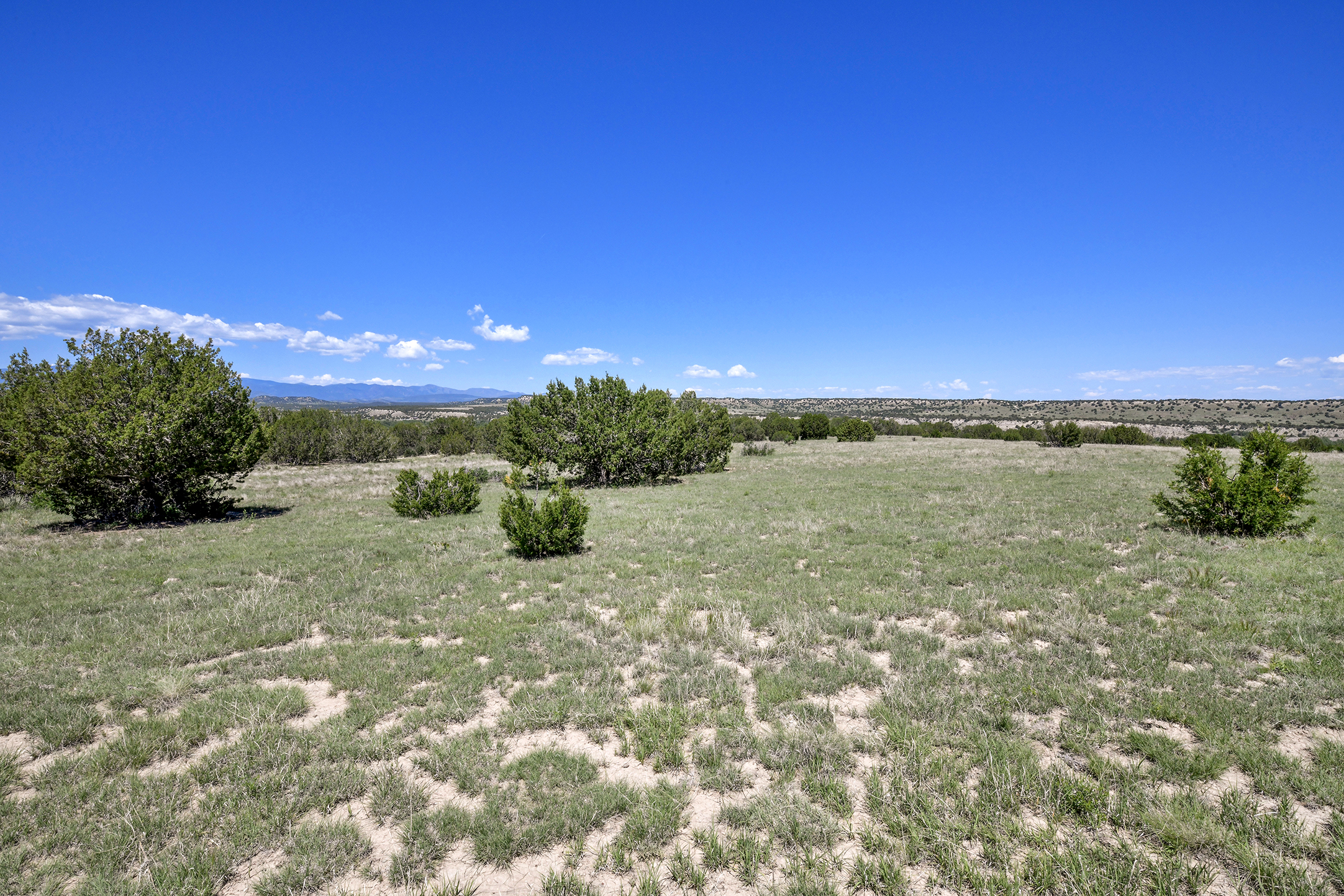 Burnt Mill Ranch – 643± Acres of Prime Colorado Ranchland