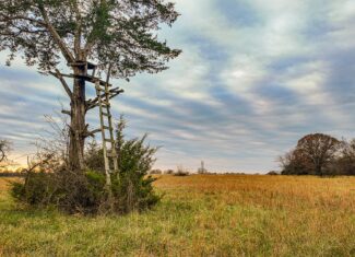 293 +/- acre hunting property for sale Lowry City MO