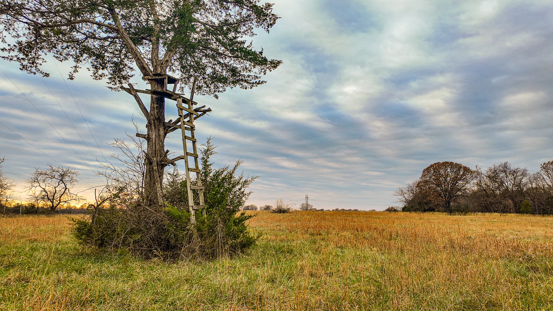 293 +/- acre hunting property for sale Lowry City MO