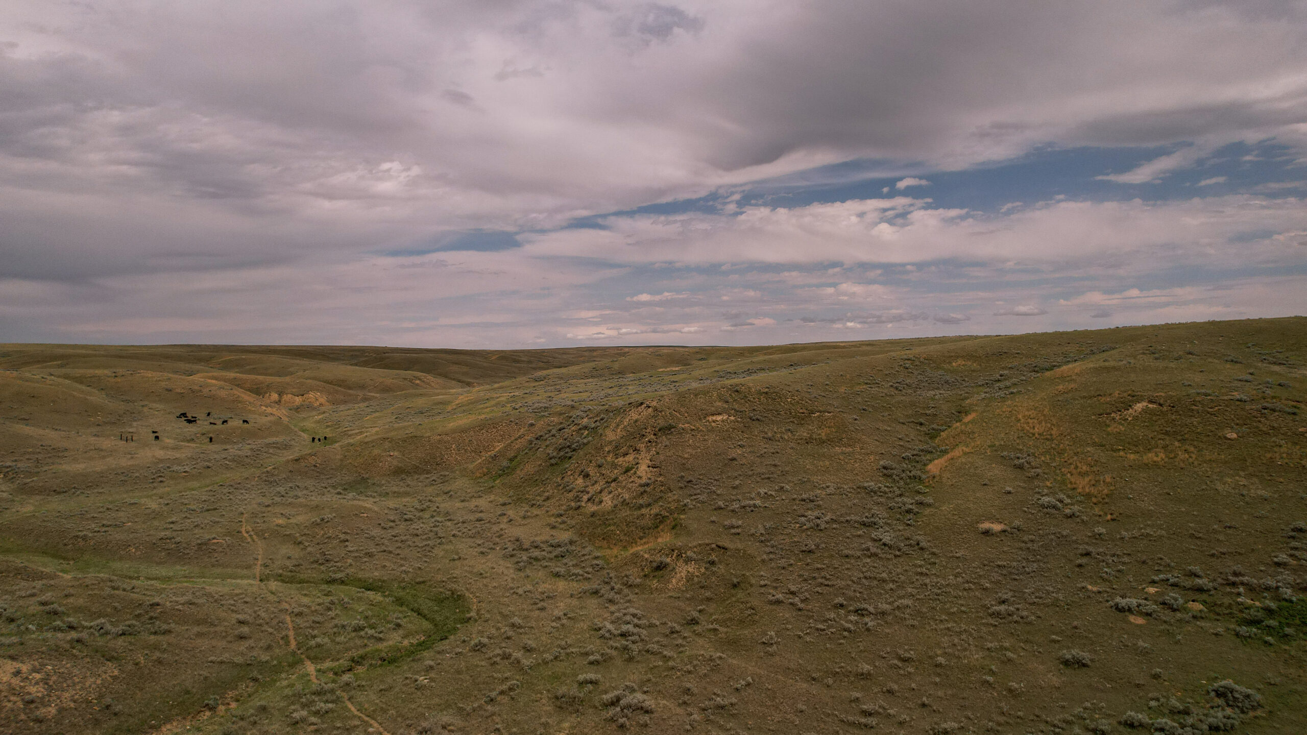 Alkali Creek Ranch