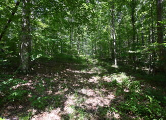 53± Acres for Sale in Decaturville, Tennessee