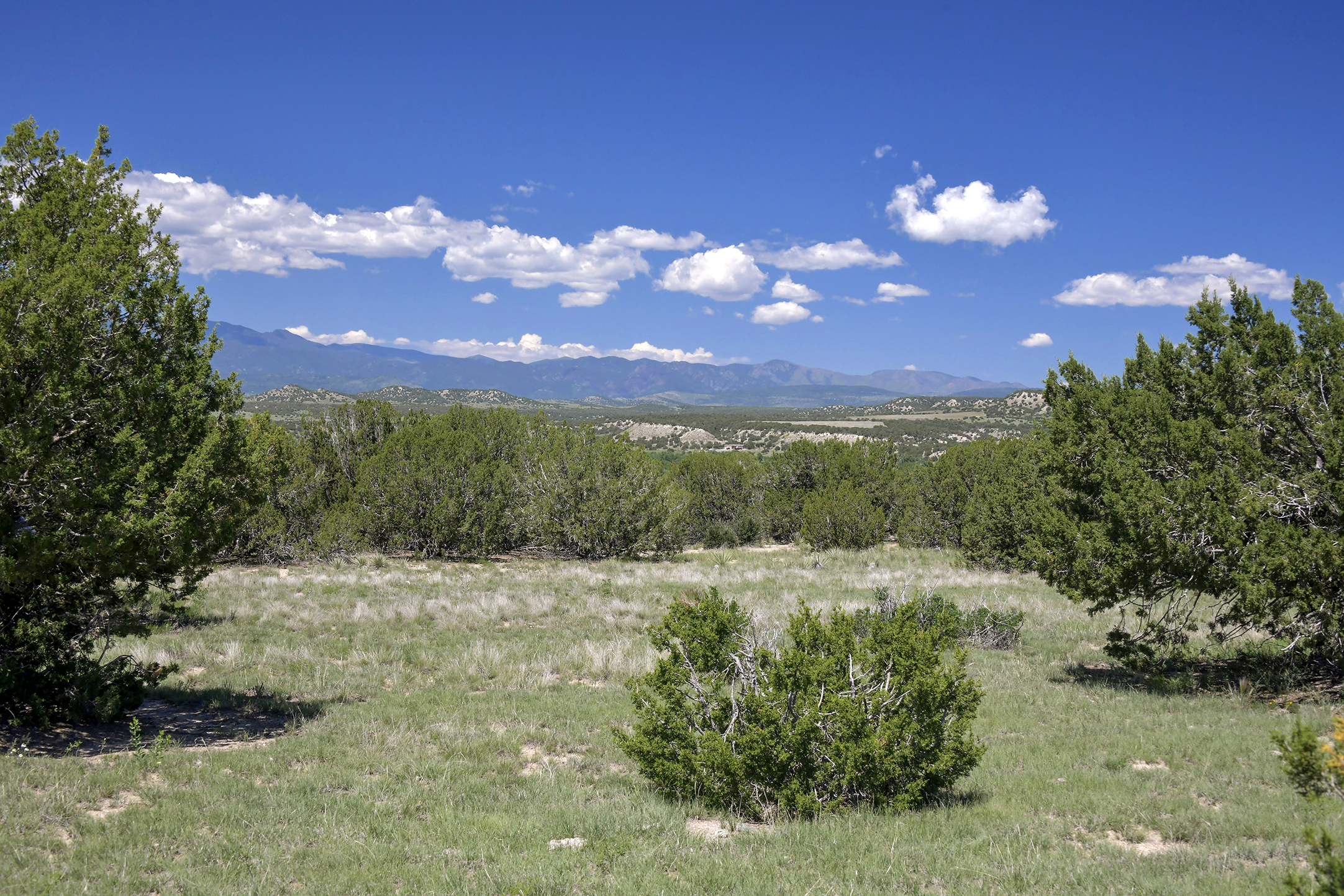 Burnt Mill Ranch – 643± Acres of Prime Colorado Ranchland