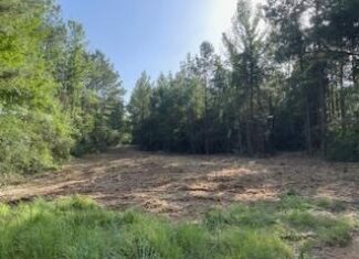 Small Hunting Tract FOR SALE in Amite County, MS