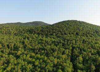 80± Acres of Off-Grid Mountain Land in Mount Chase, Maine