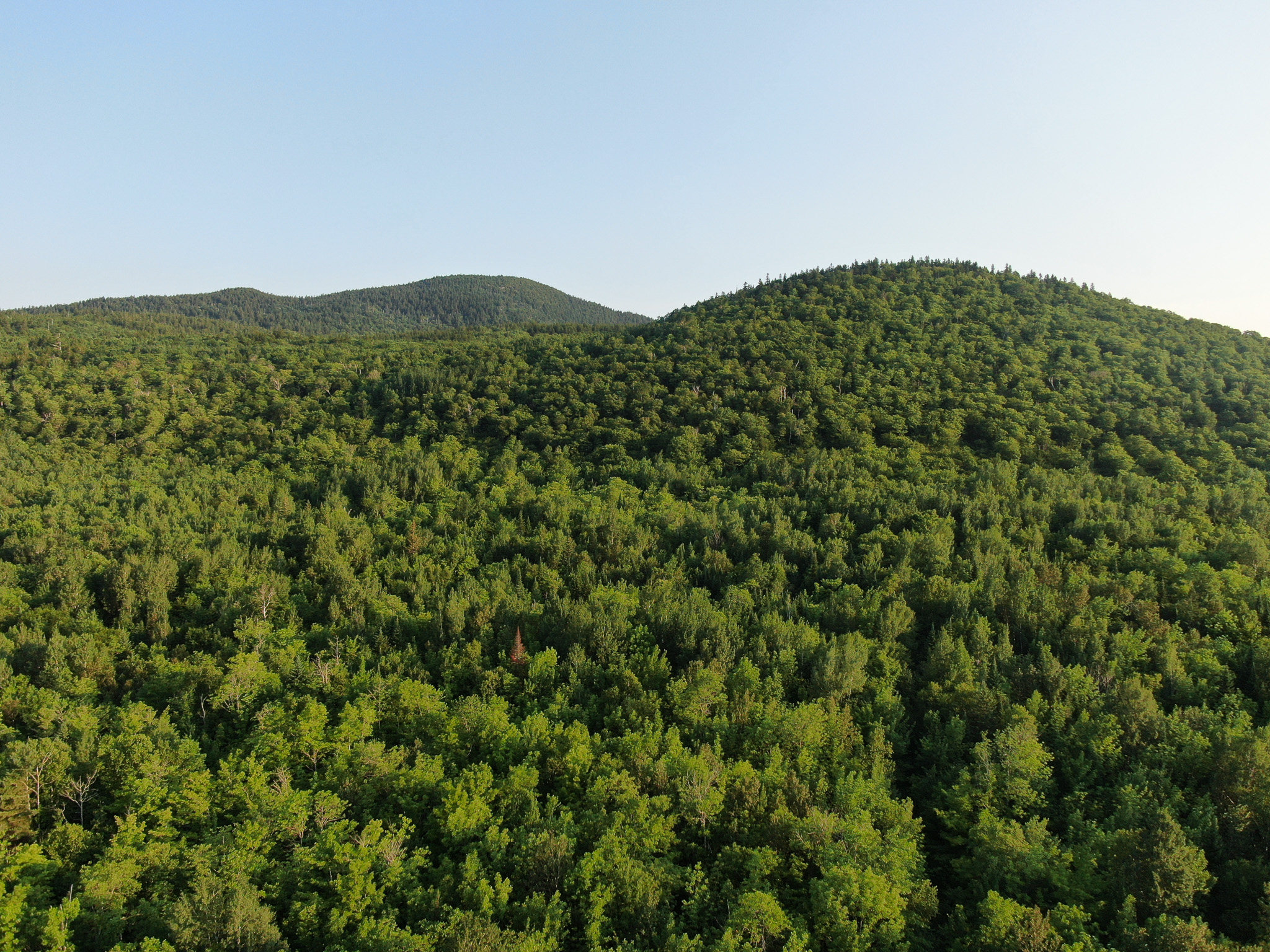 80± Acres of Off-Grid Mountain Land in Mount Chase, Maine
