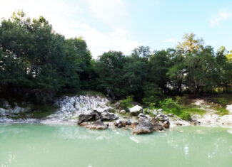 Recreational and hunting paradise located just outside Vada, GA in Decatur County