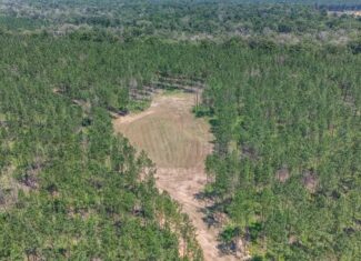 Amite County Hunting Land – The Winding 41